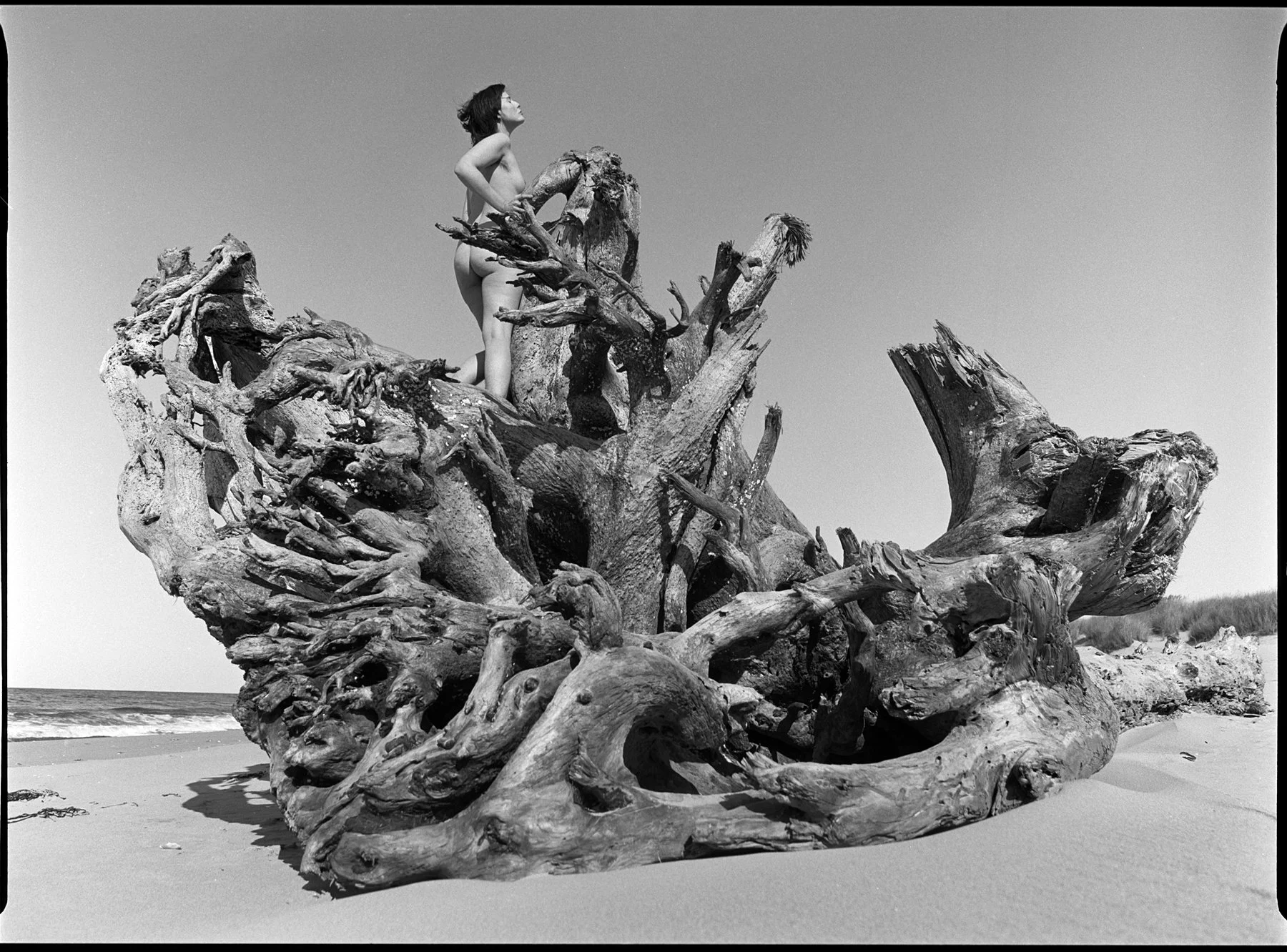 Fine art nude photographed with a Pentax 645n and Ilford FP4 black and white film along the Oregon coast