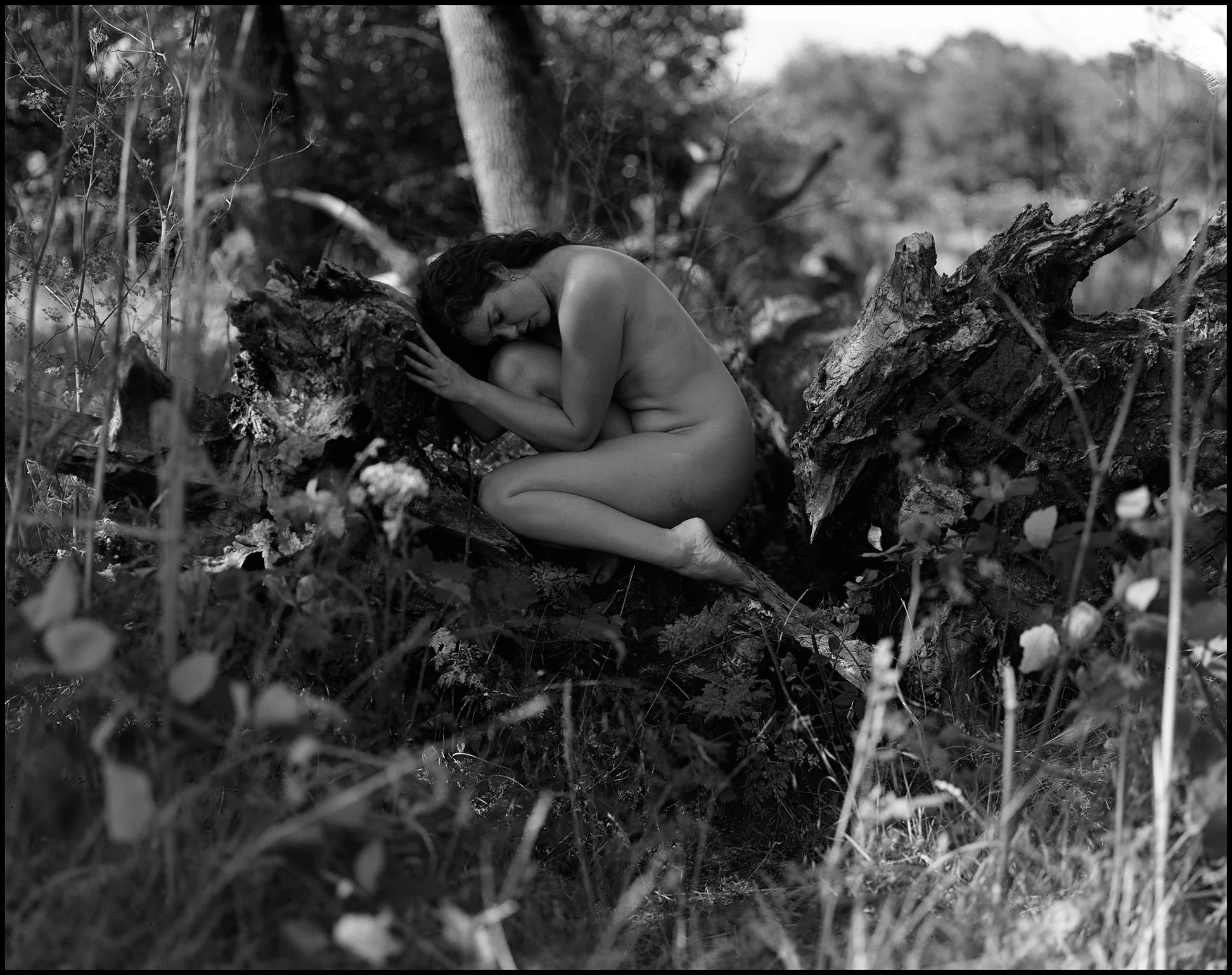 Nude photograph of Jessa Ray Muse made with an Intrepid 4x5 camera and Fomapan 100 large format film.