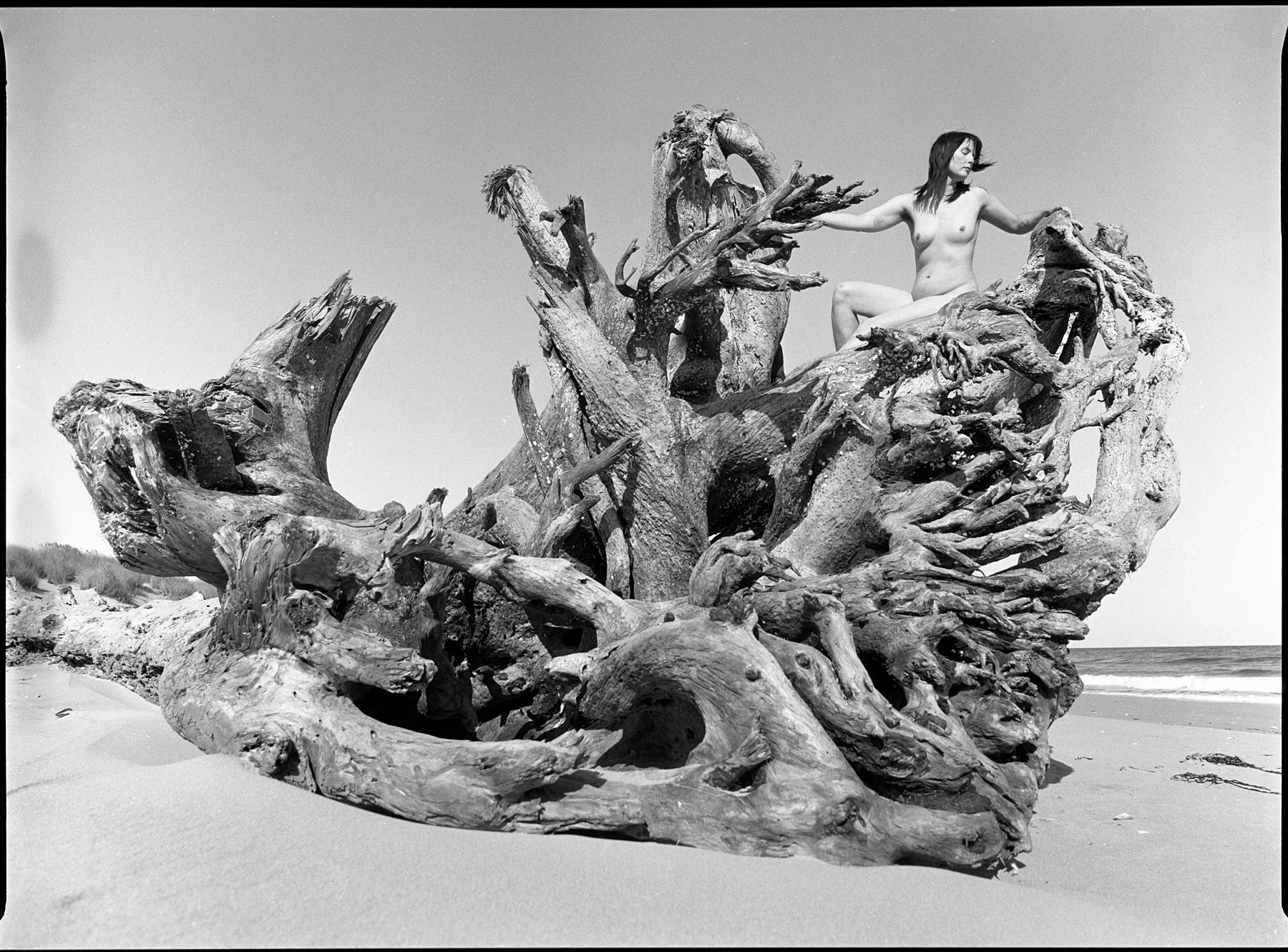 Fine art nude captured along the Oregon Coast with a Pentax 645n and Ilford FP4 black and white medium format film