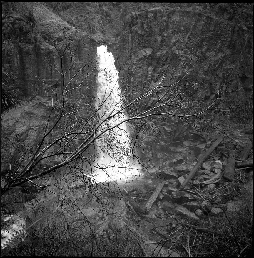 Drift Creek Falls near the Oregon Coast photographed with a Hasselblad 500cm and Kodak Tmax black and white medium format film.
