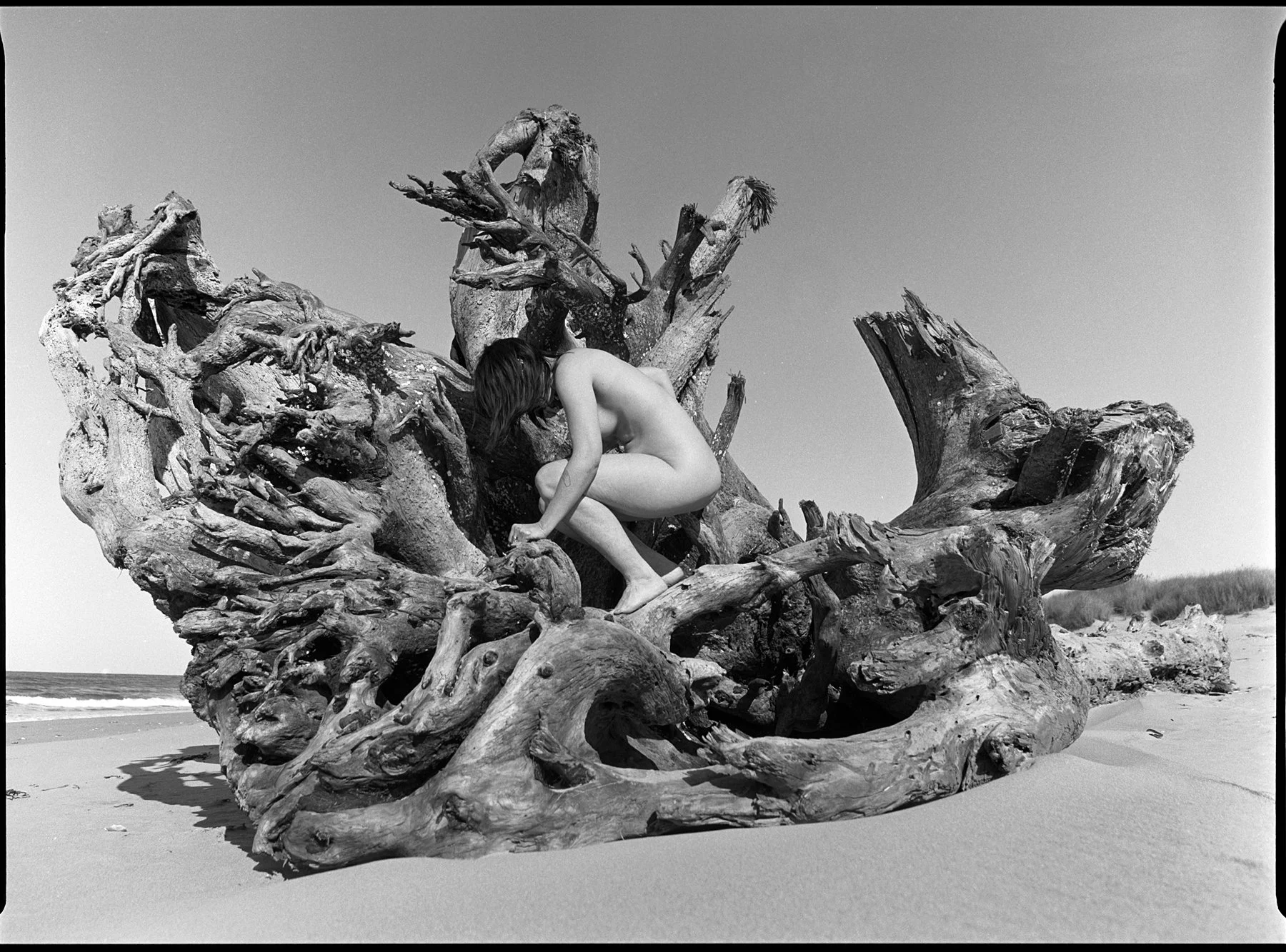 Nude beach along the Oregon Coast photographed with black and white film and a Pentax 645n