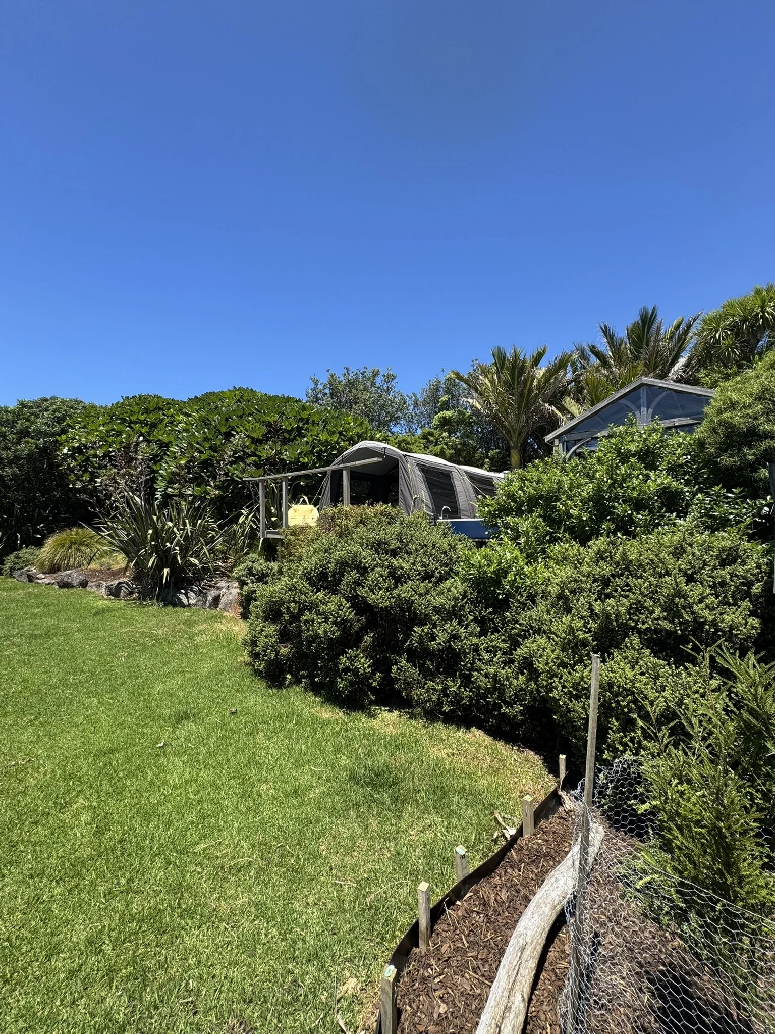 Nikau_View from the lawn-2 - Copy.JPEG