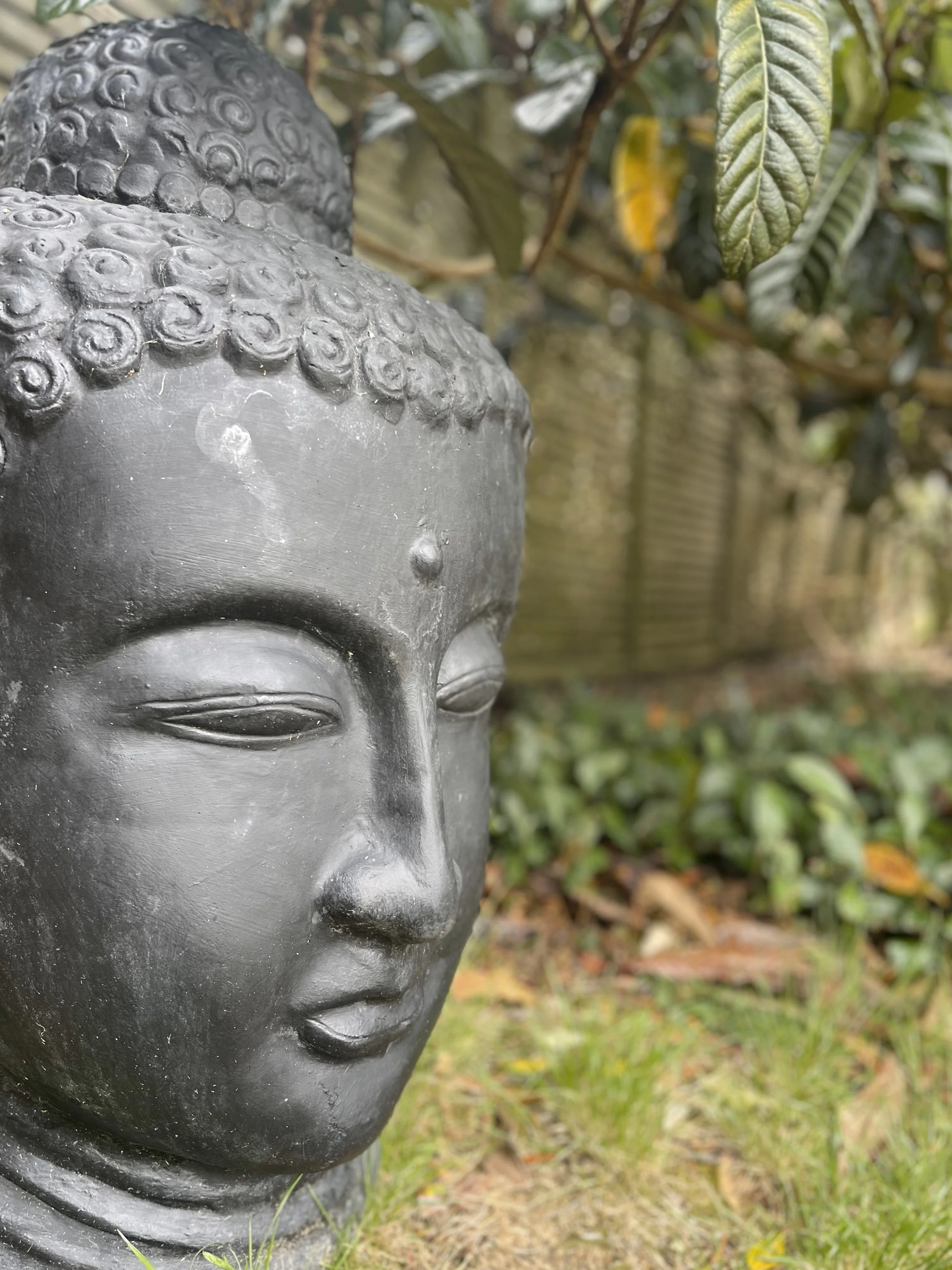 Close-up of a Buddha statue head in a garden setting with greenery in the background. Bluewater Sanctuary Tutukaka