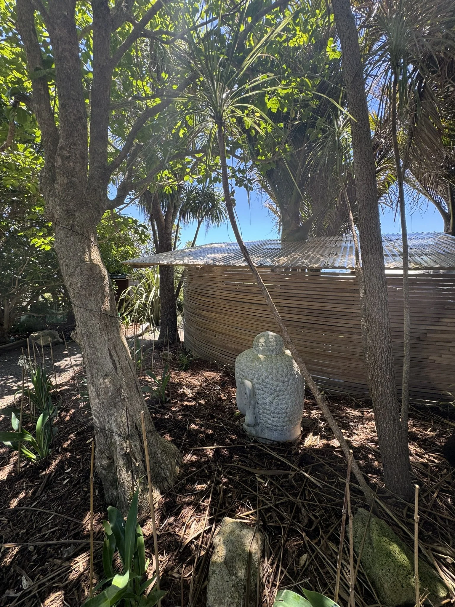 Nikau_the entrance garden - Copy.JPEG