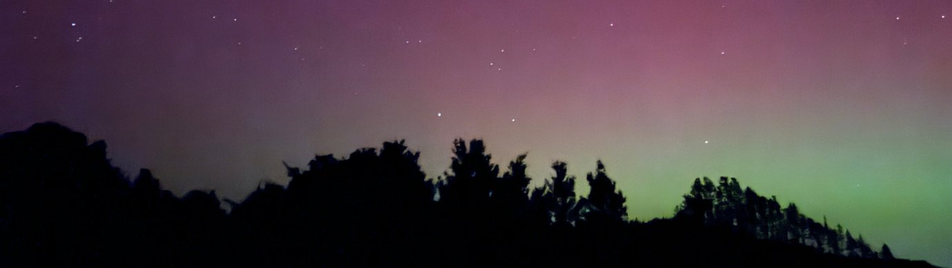 Silhouette of trees beneath a starry sky with aurora borealis in shades of pink and green. Bluewater Sanctuary Tutukaka