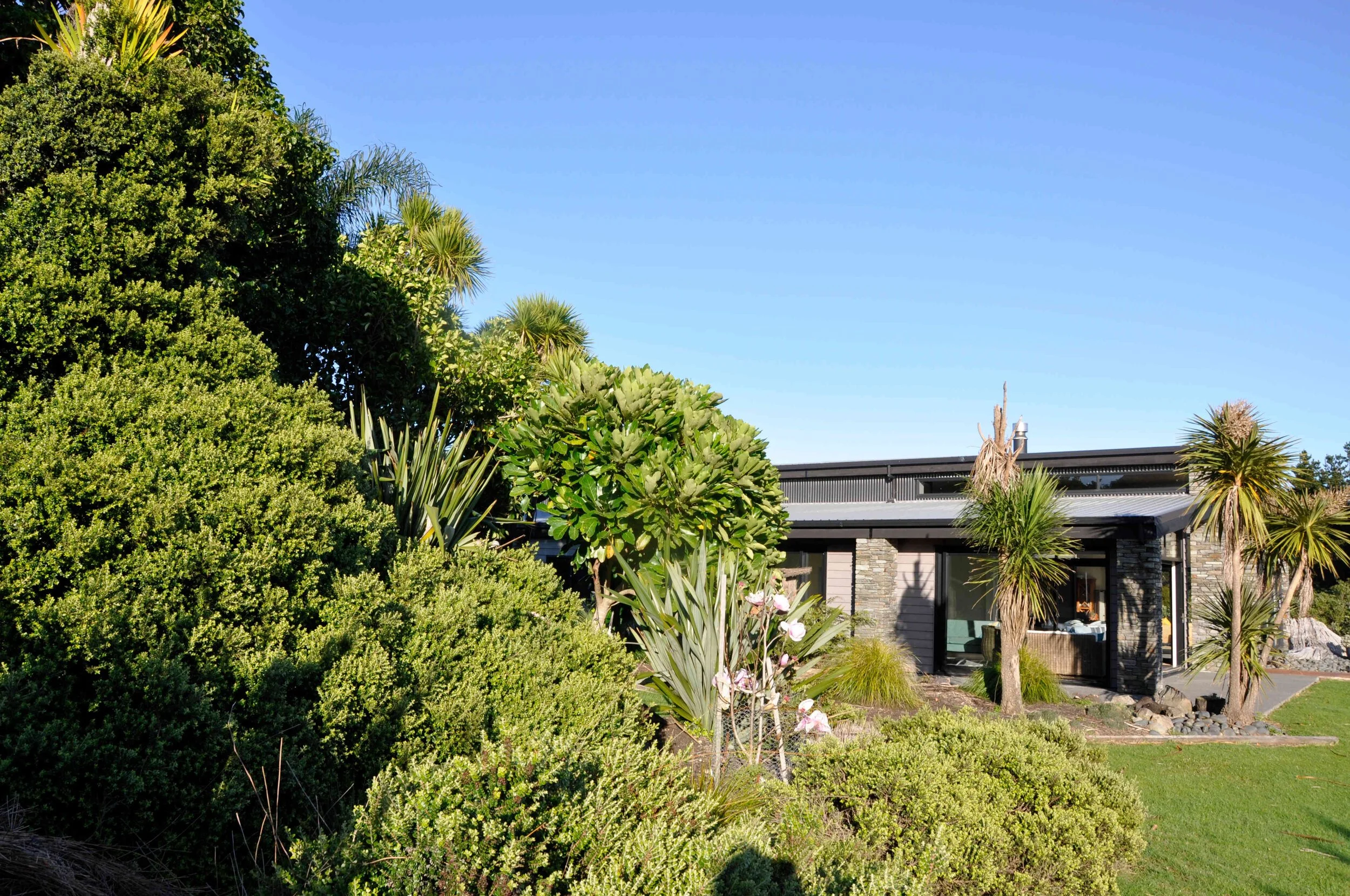 Modern house amid lush green garden with various plants and trees. Bluewater Sanctuary Tutukaka
