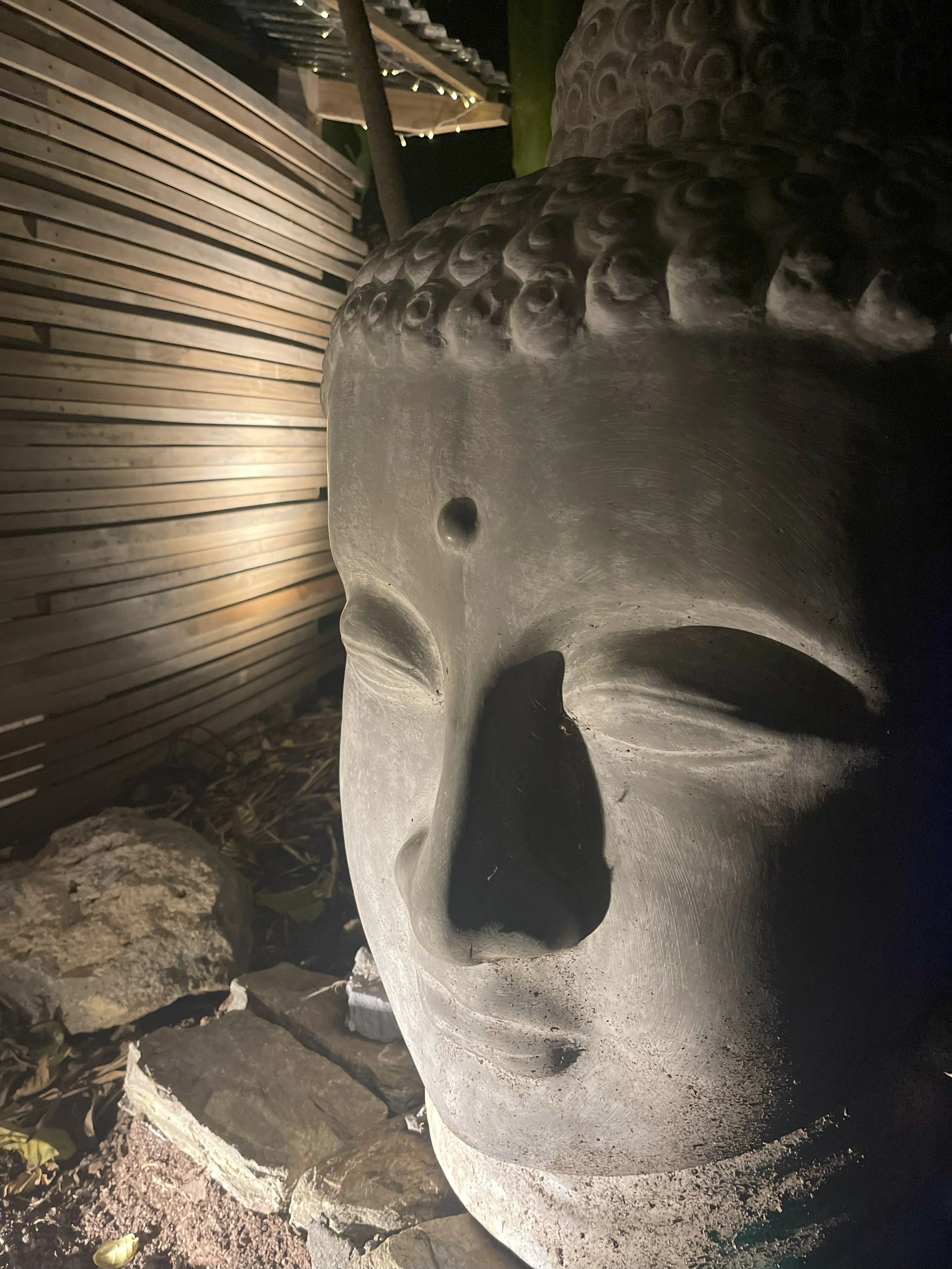 Nikau Glamping Bluewater Sanctuary View 4