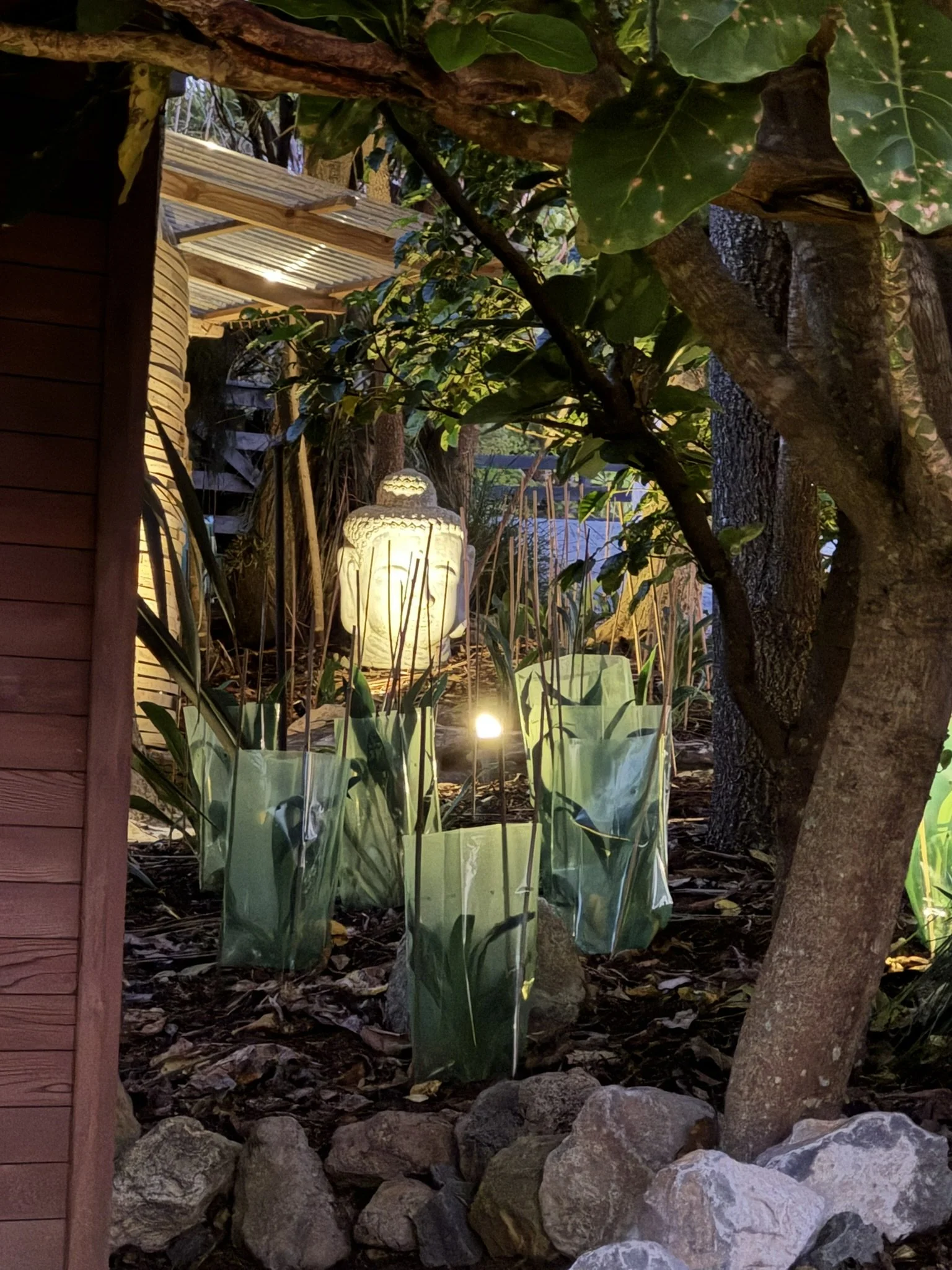 Nikau_the entrance garden at night with lighting - Copy.JPEG