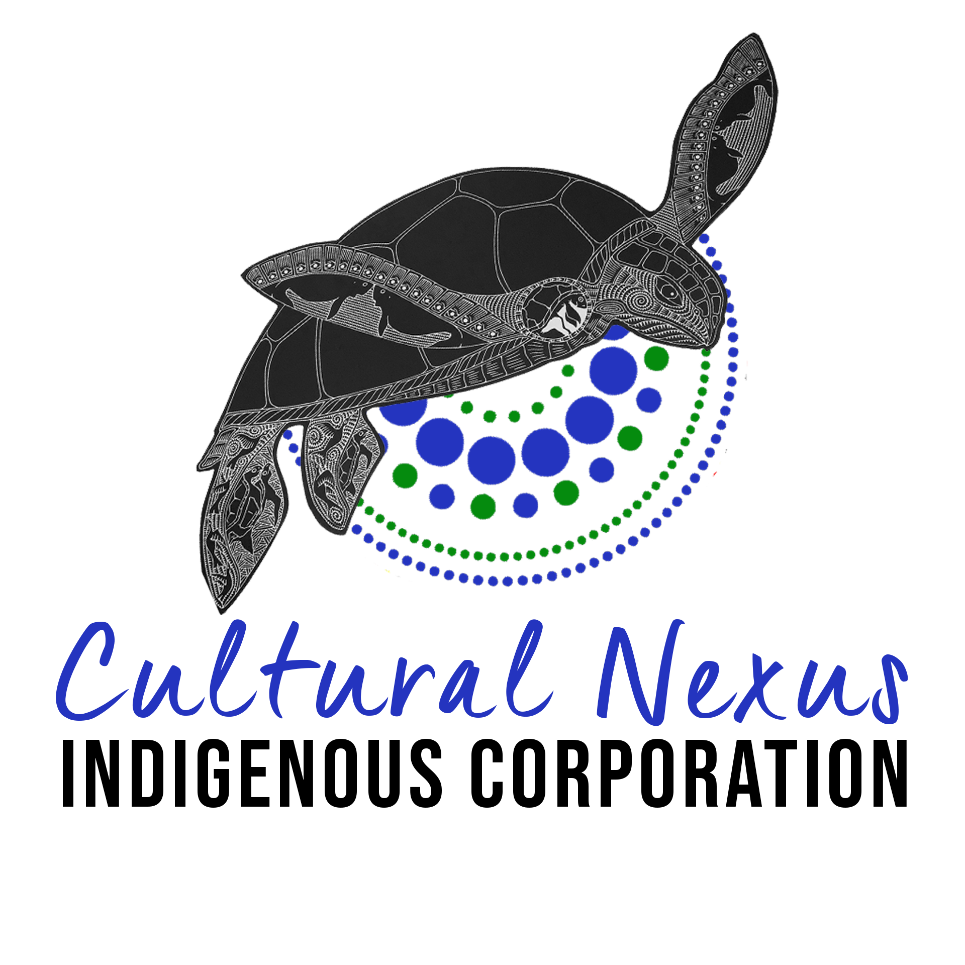 Illustration of a turtle with a black and white decorative design, with digital nodes and connections surrounding it, suggesting a network or data theme.