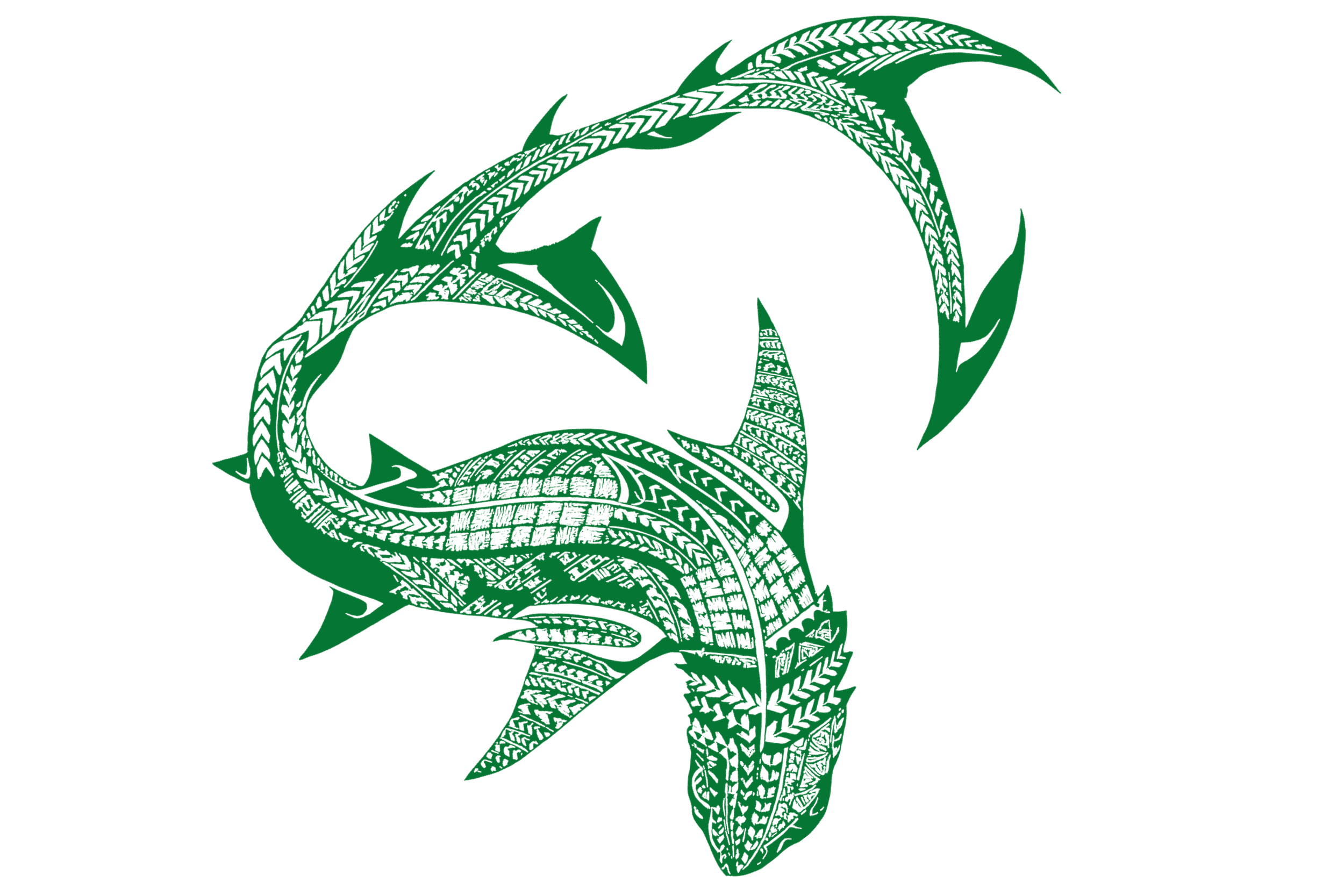 Green tribal-style shark illustration on black background.