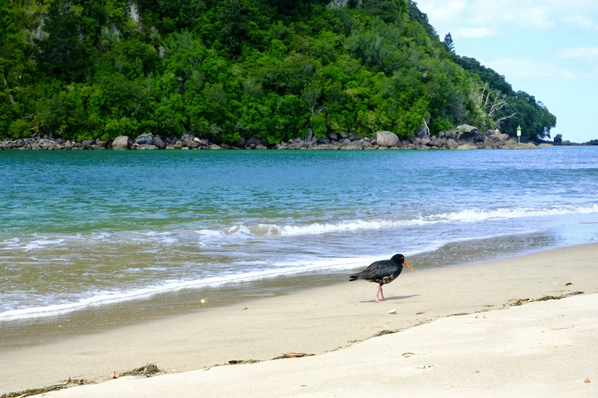 Nouvel arrêt à Whangamata