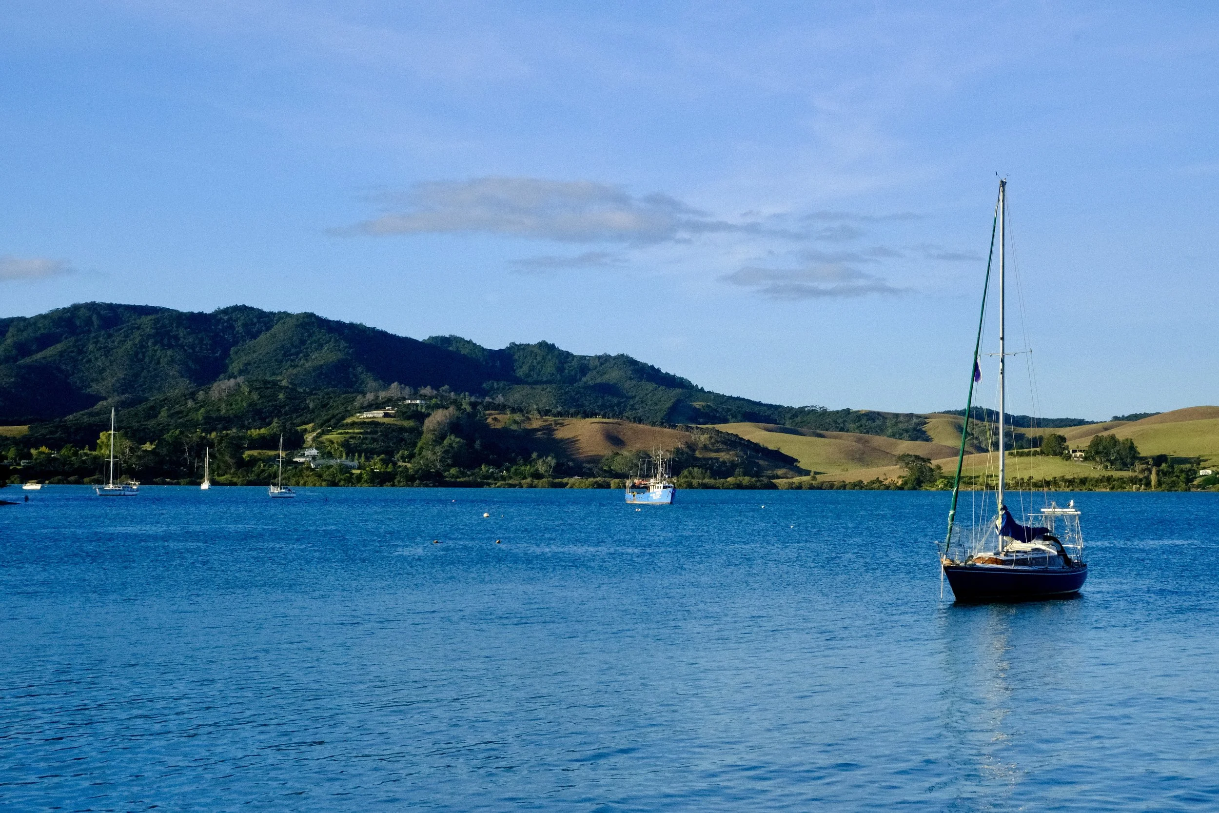 Mangonui