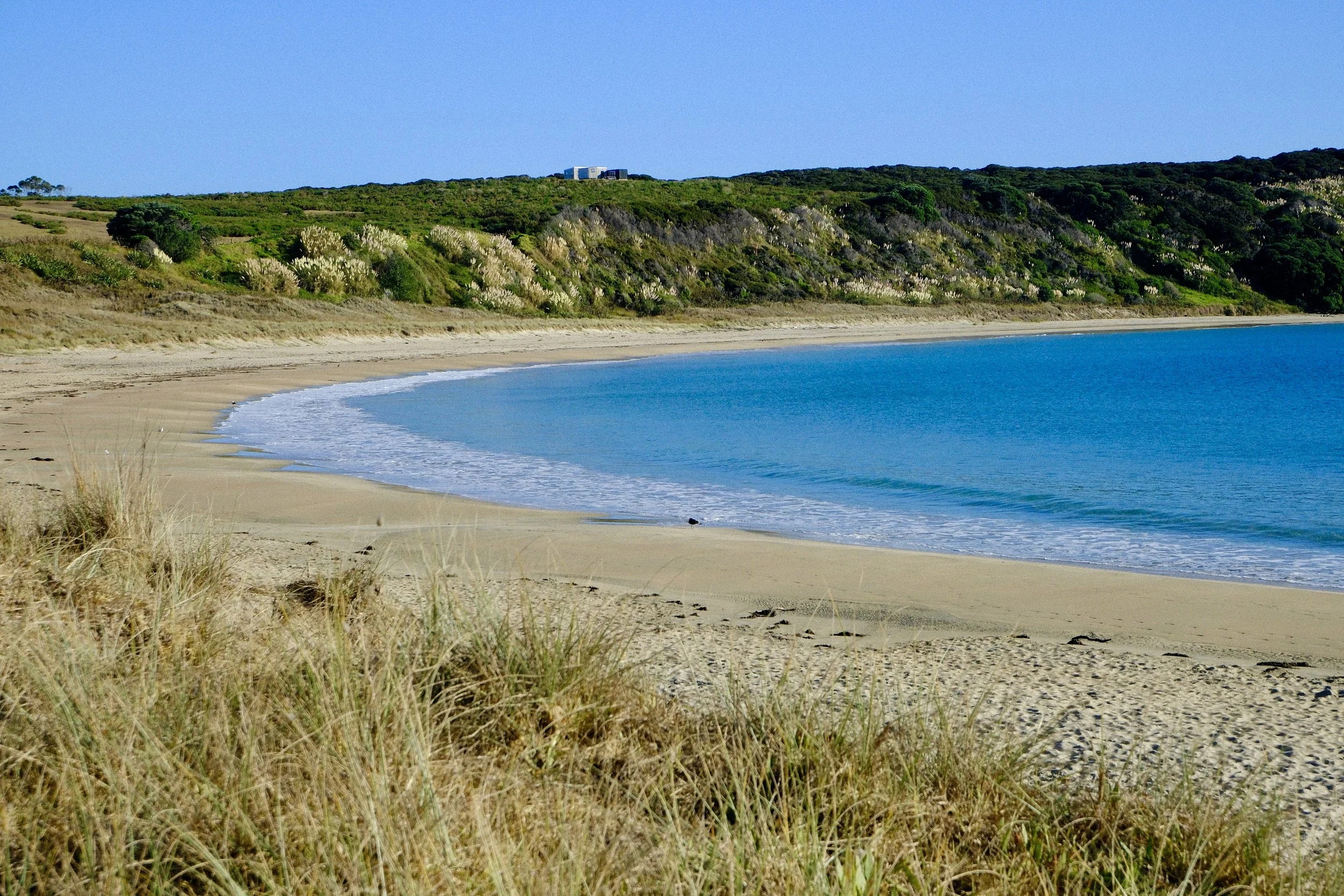 Maitai Bay