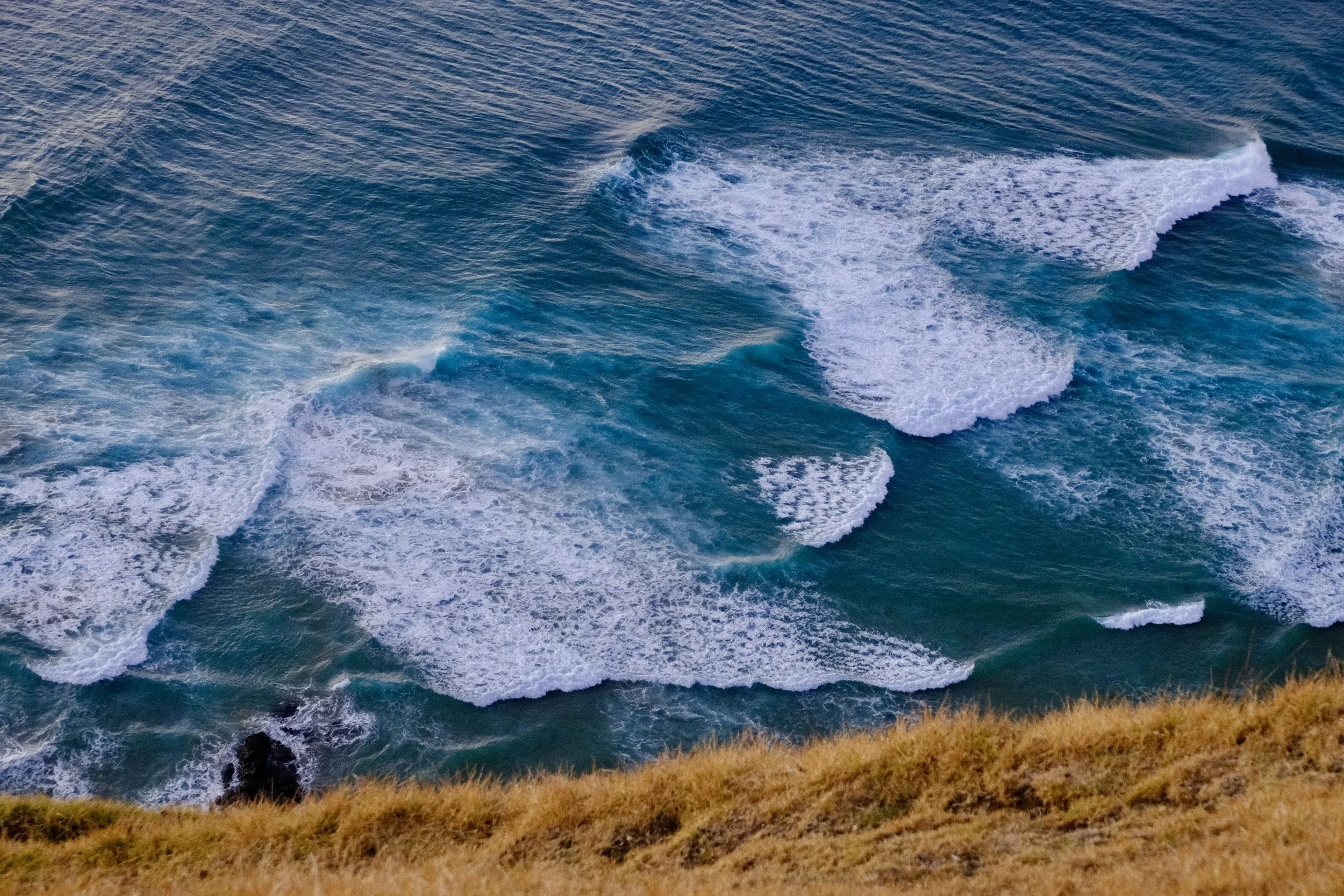 Mer turquoise, herbe dorée