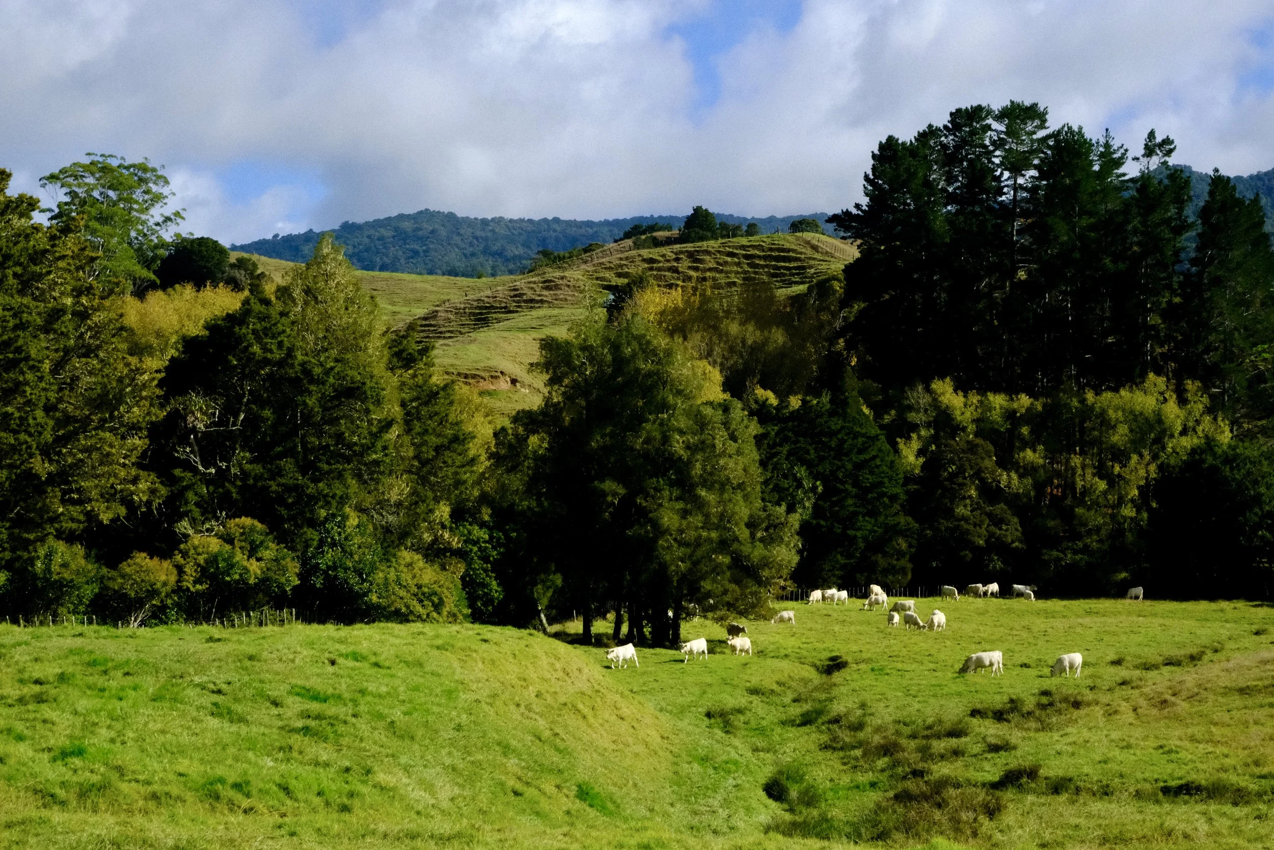 Au milieu de la campagne