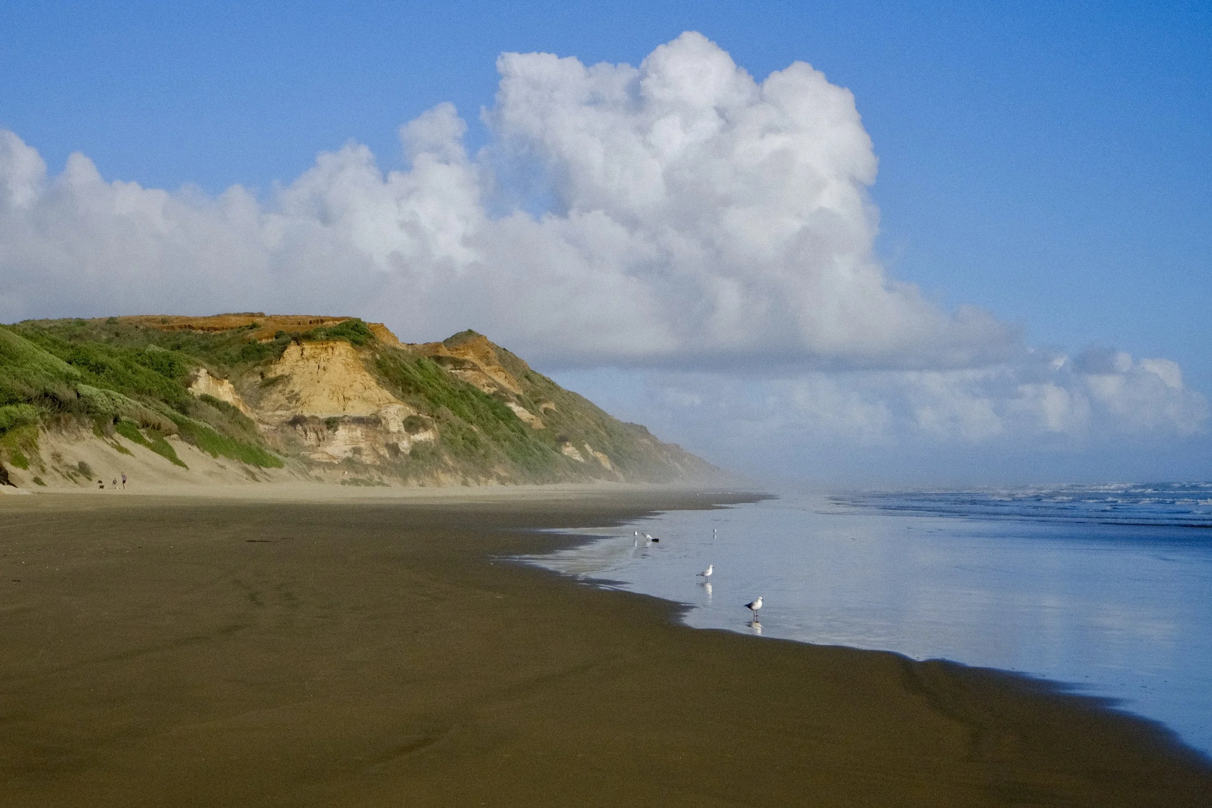 Baylys Beach
