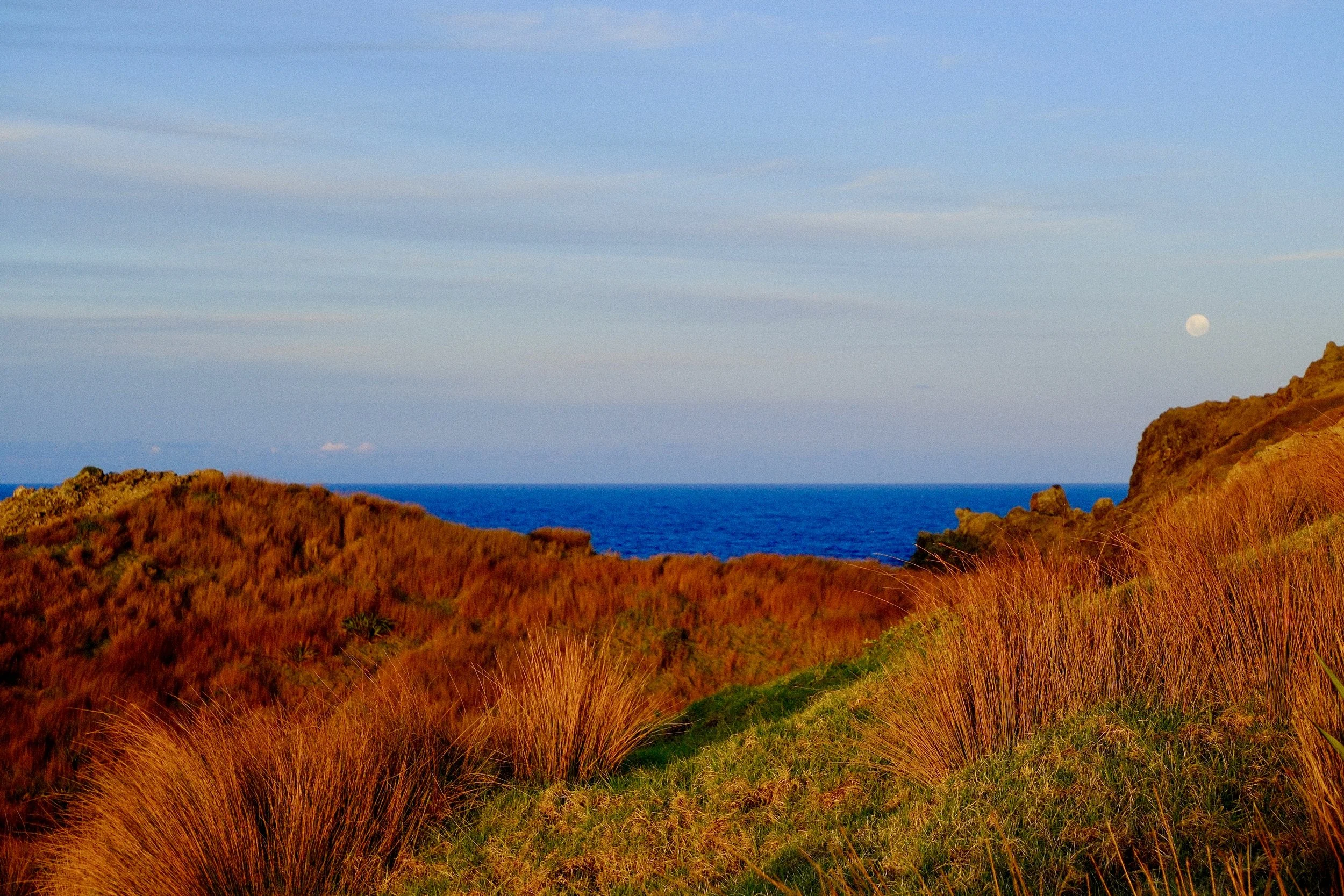 Couleurs chaudes