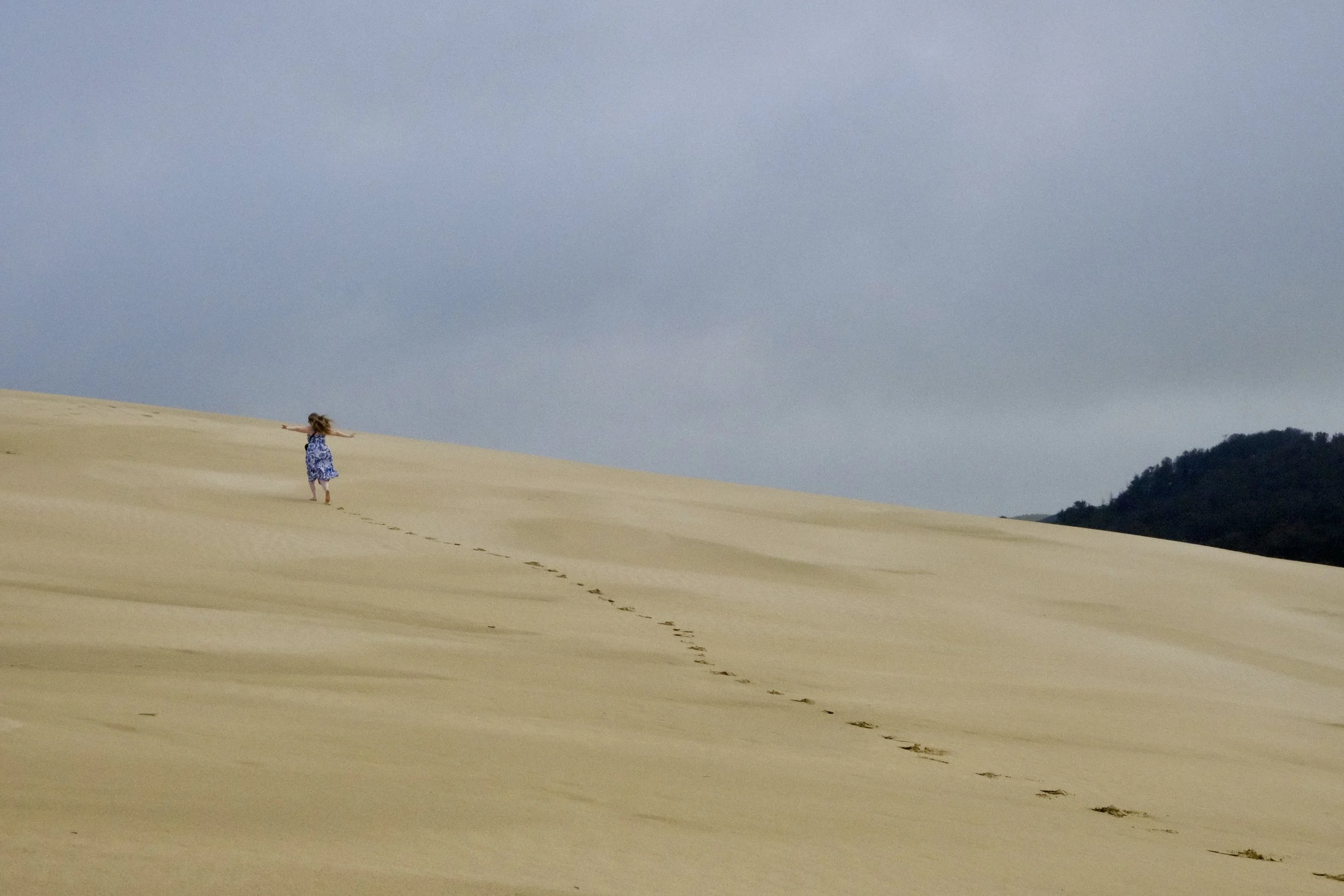 Cassandre aux dunes géantes