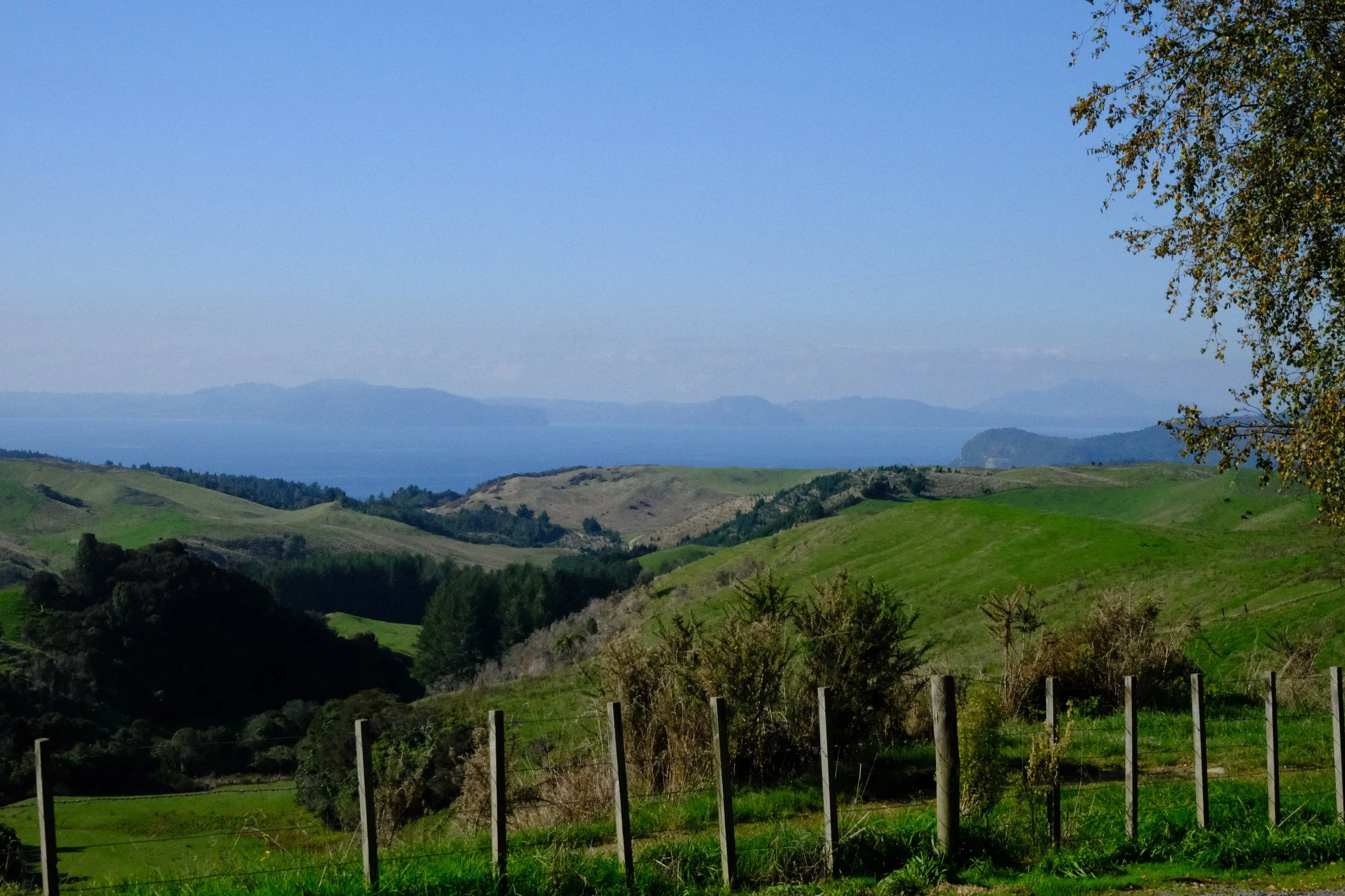 Lac Taupo