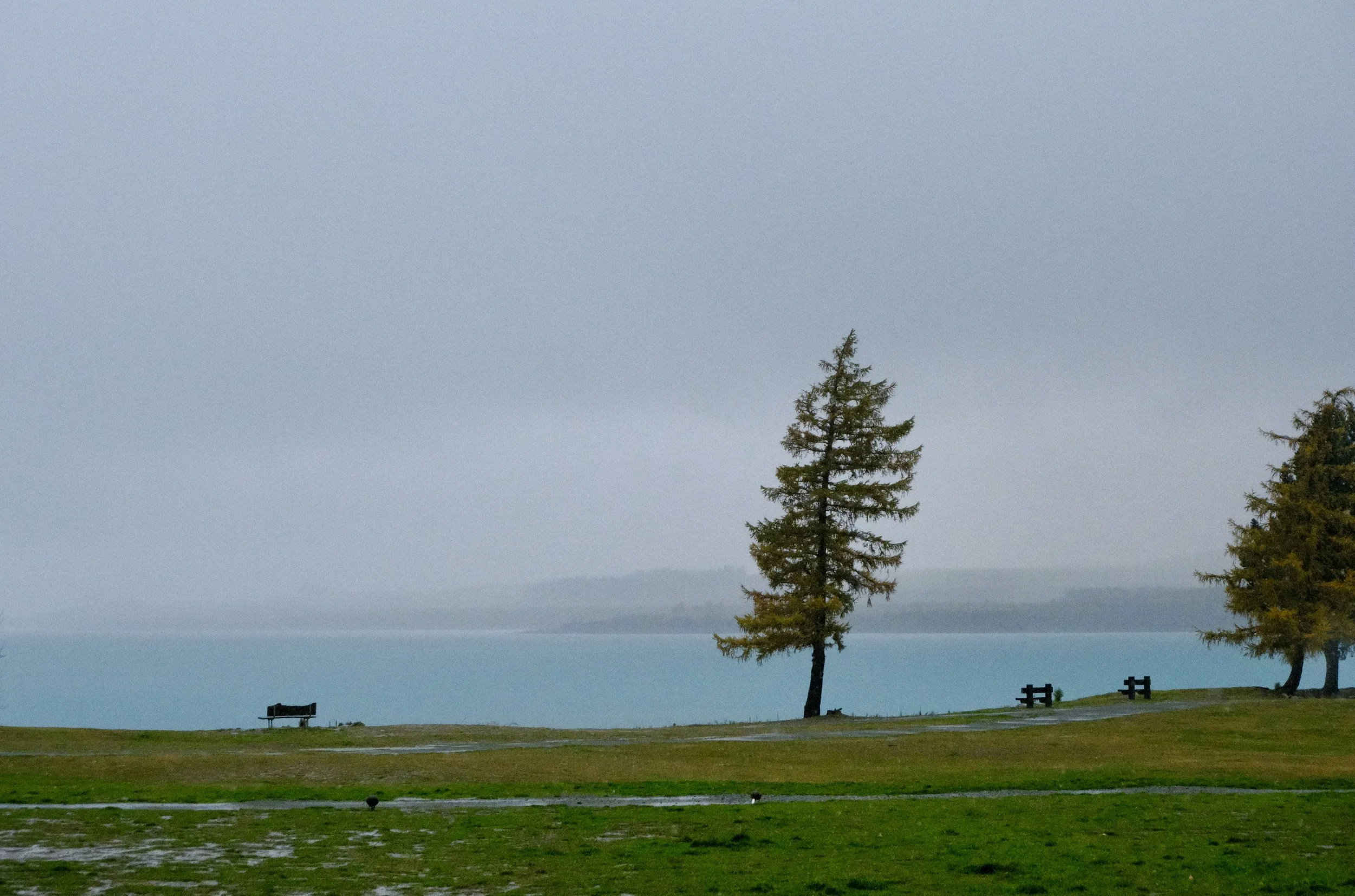 Lac Tekapo