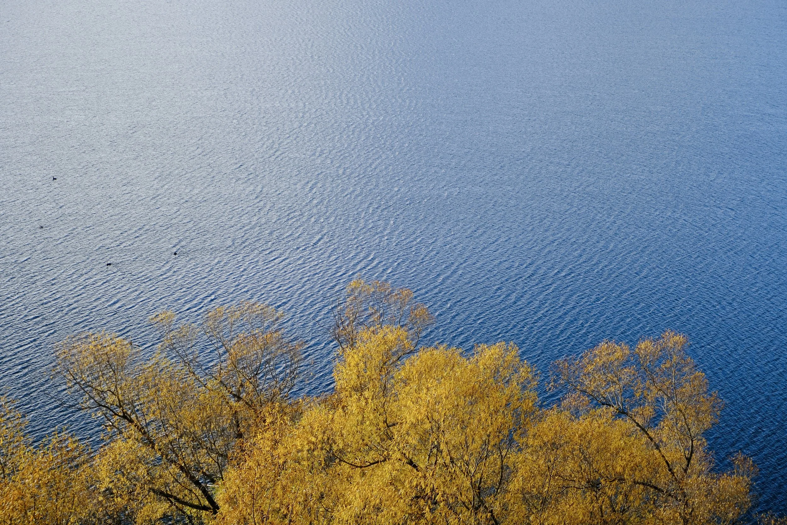 Couleur d'automne