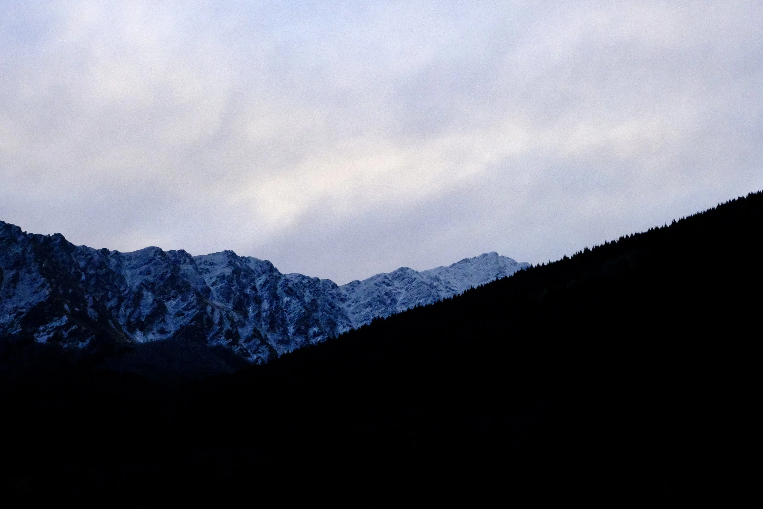 Nuances de gris
