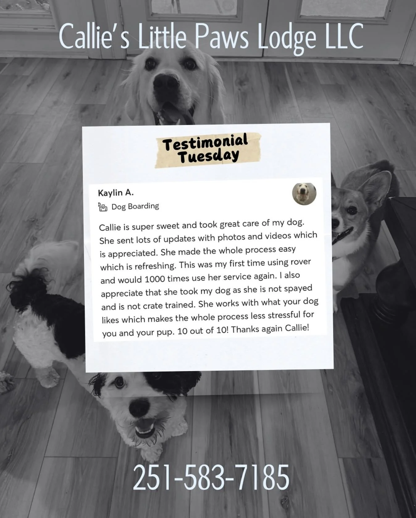 📌 Testimonial Tuesday! 📌
Super grateful to the clients who take the time to share their experience with Callie&rsquo;s Little Paws Lodge! It helps to spread the word to other pet parents looking for a home away from home for their pups too! ❤️ 
-
-