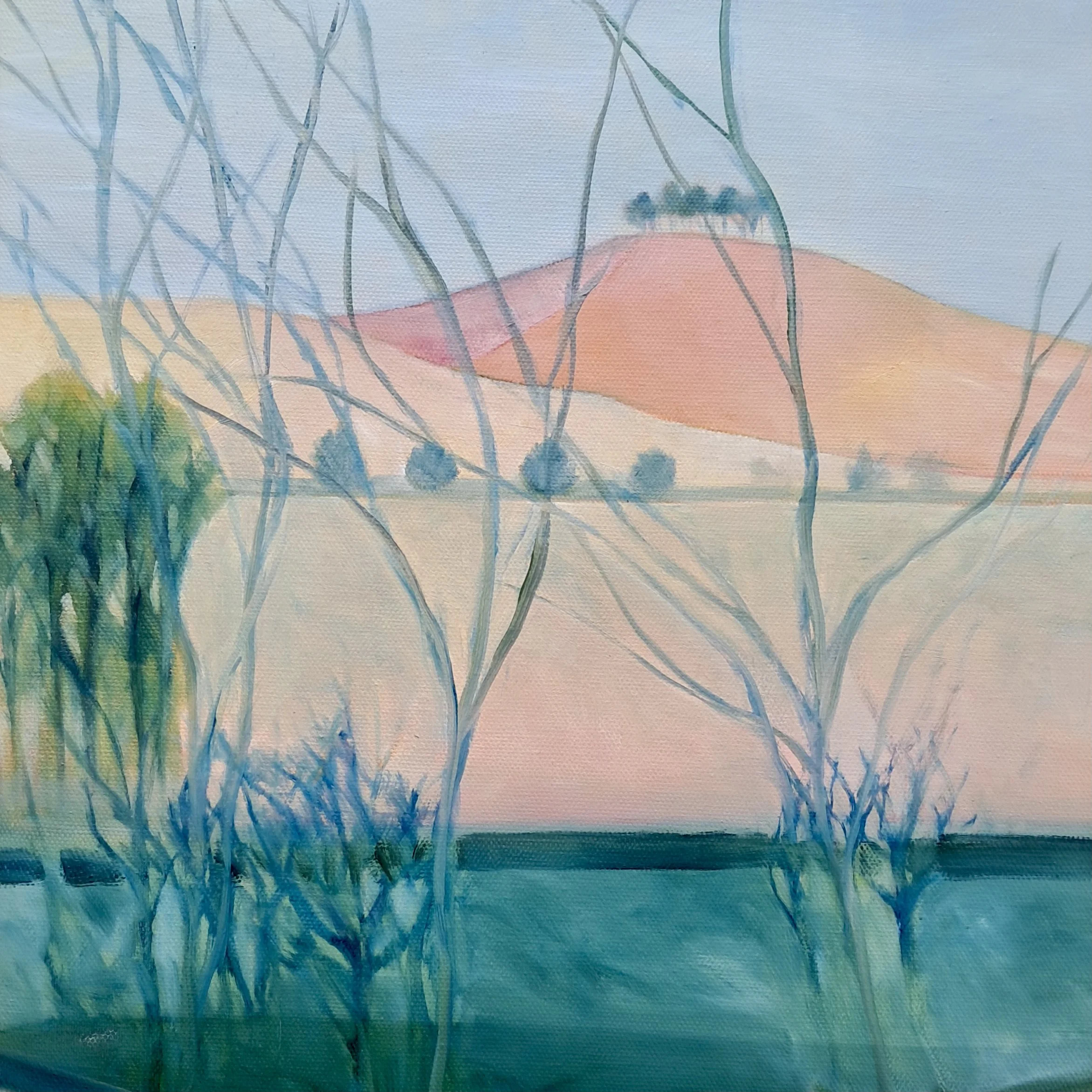 Liz Harvey