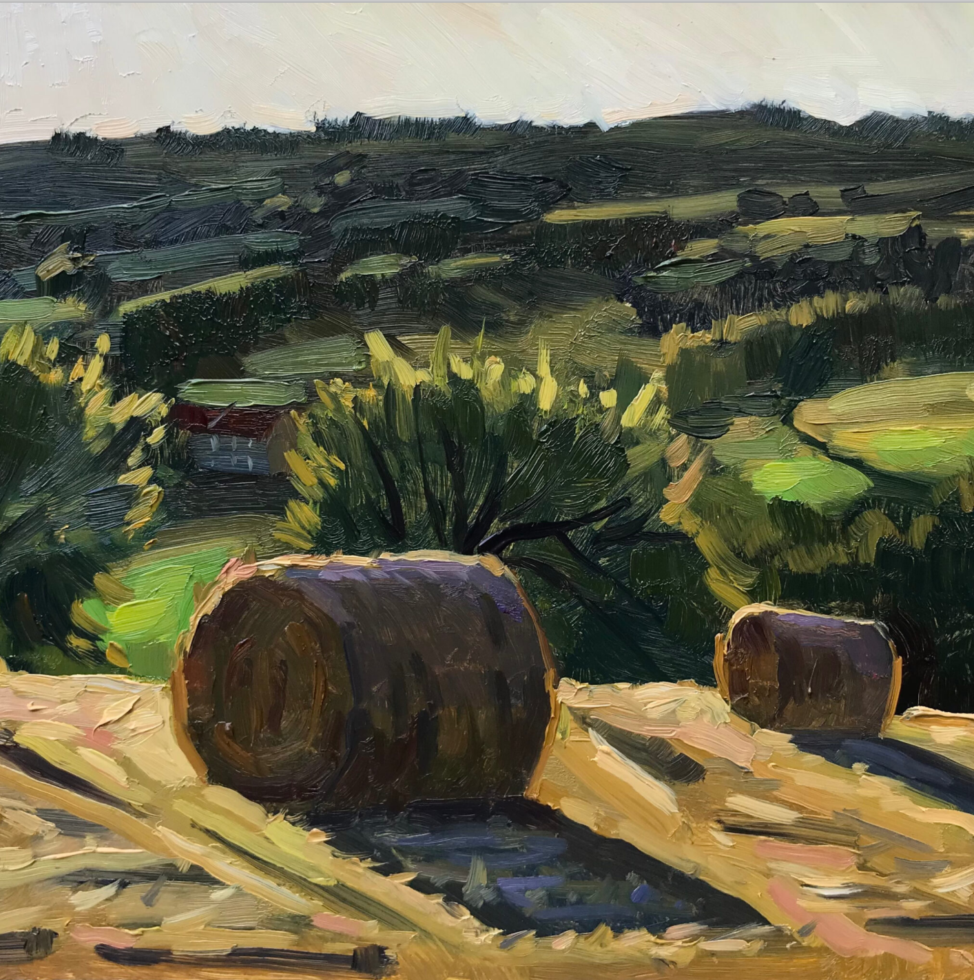 Image 24-10-2026 at 13.07.png