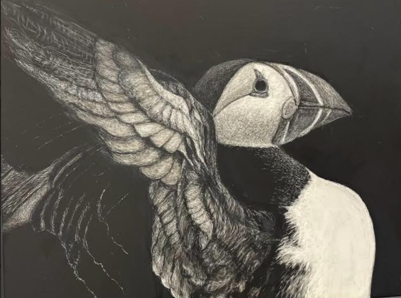 Scratch Board Workshop