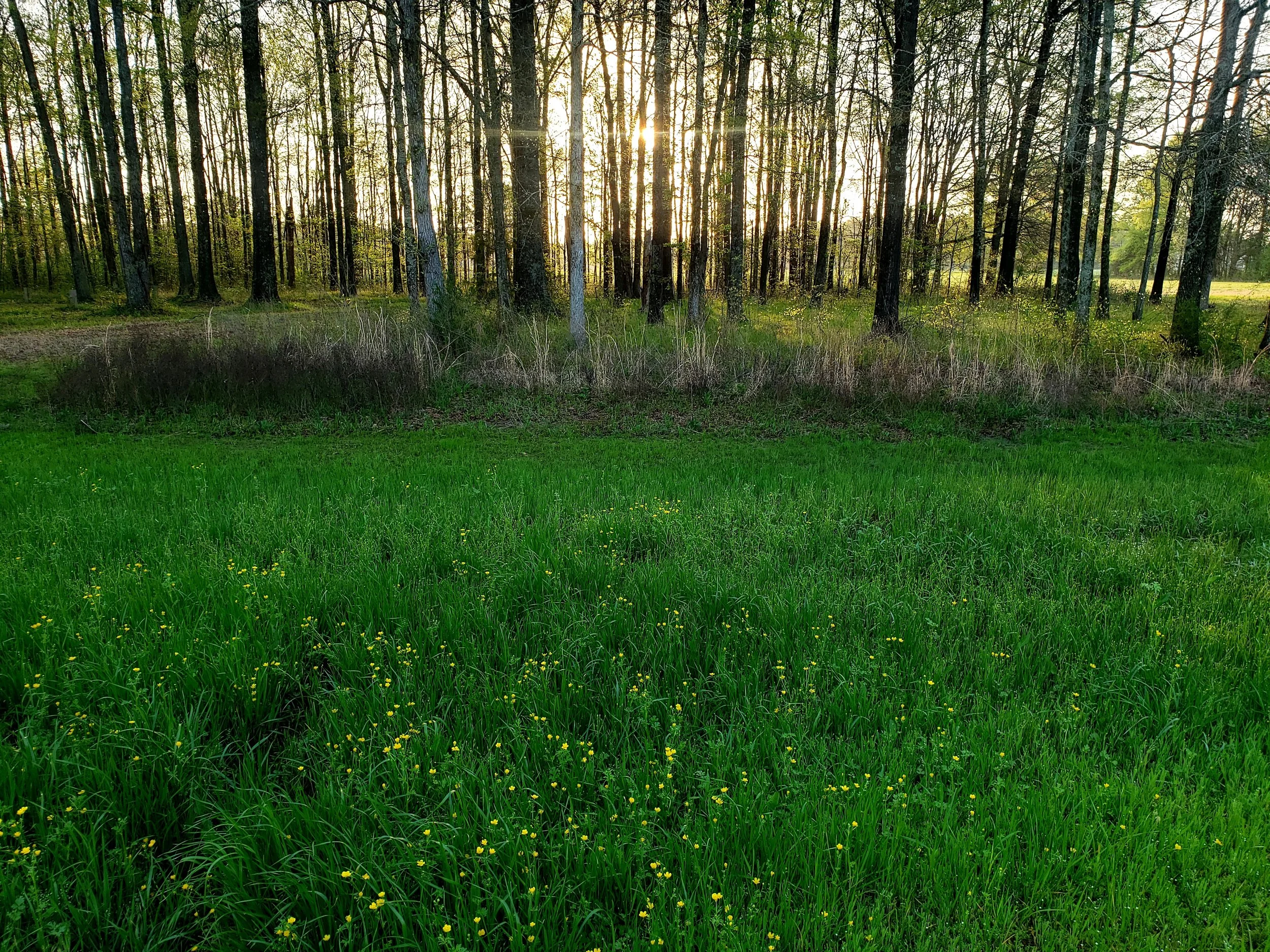 Daily Habits for Big Health Impact - 15 Minutes or Less