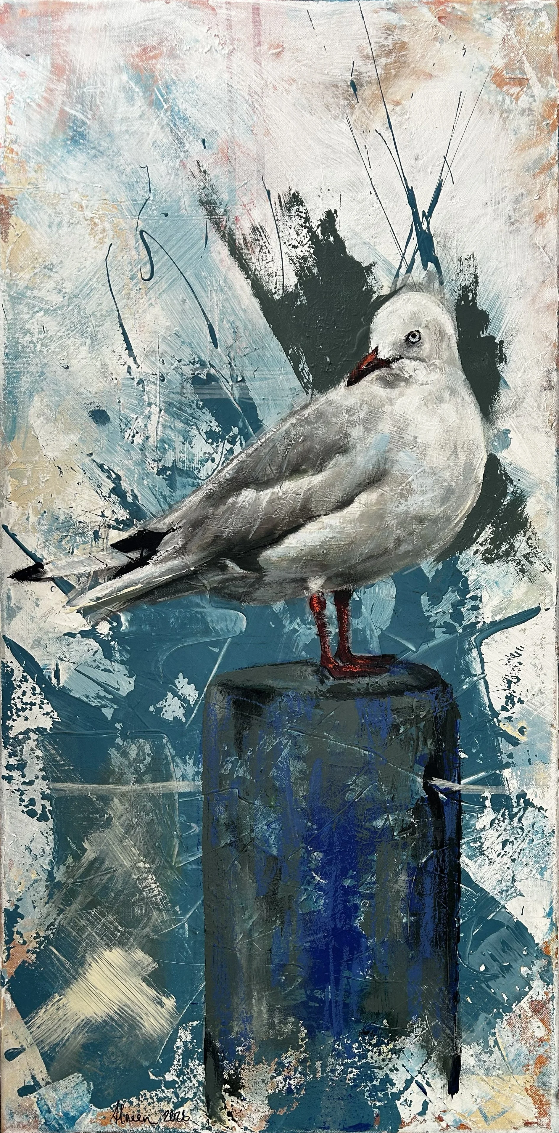 Silver Gull.jpg