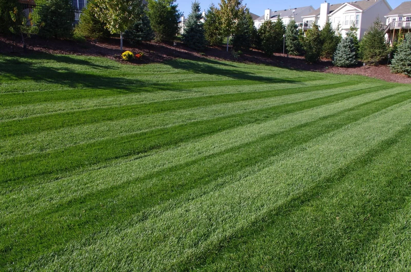 Commercial lawn care and maintenance services in Bismarck – professional mowing, edging, and landscaping