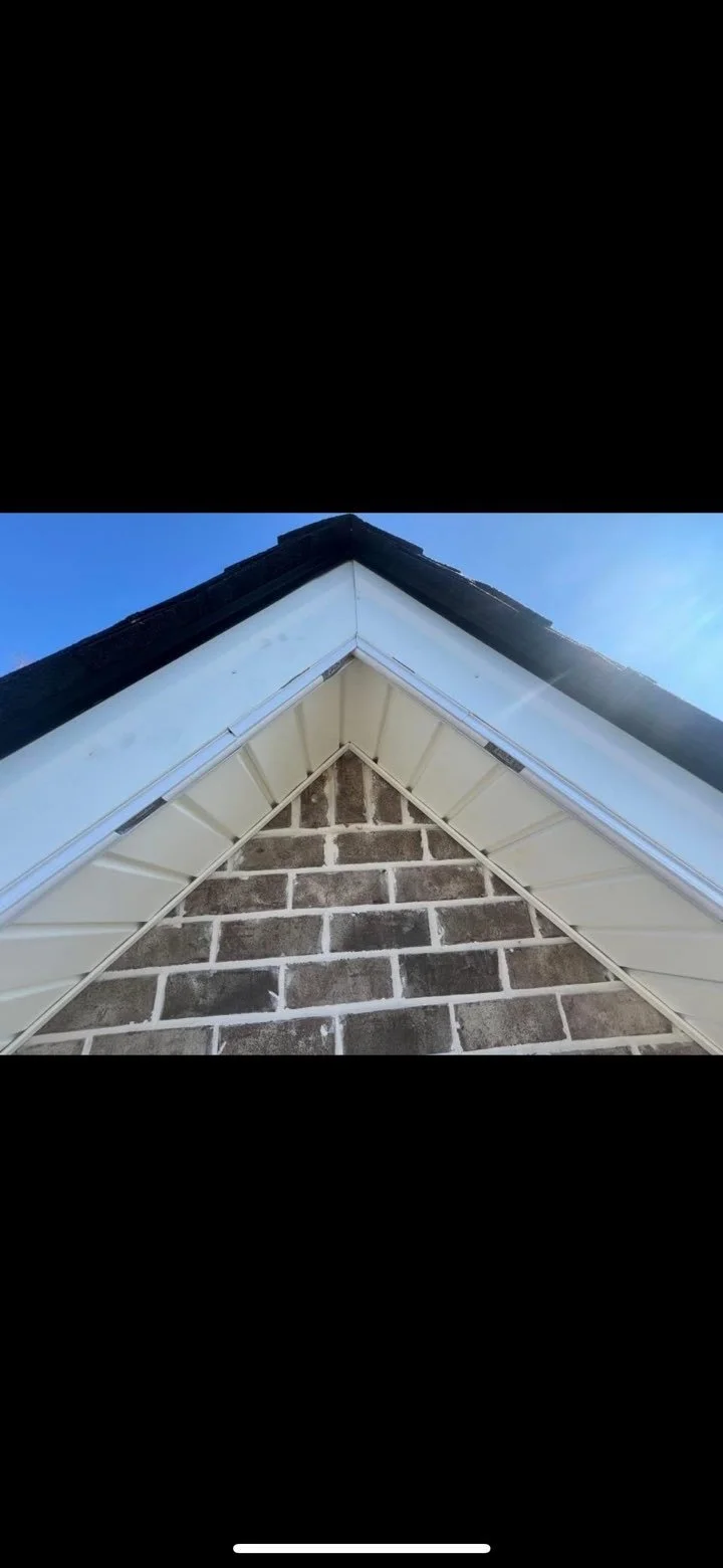 Front yard permanent LED lights in Mandan showcasing pathways and trees