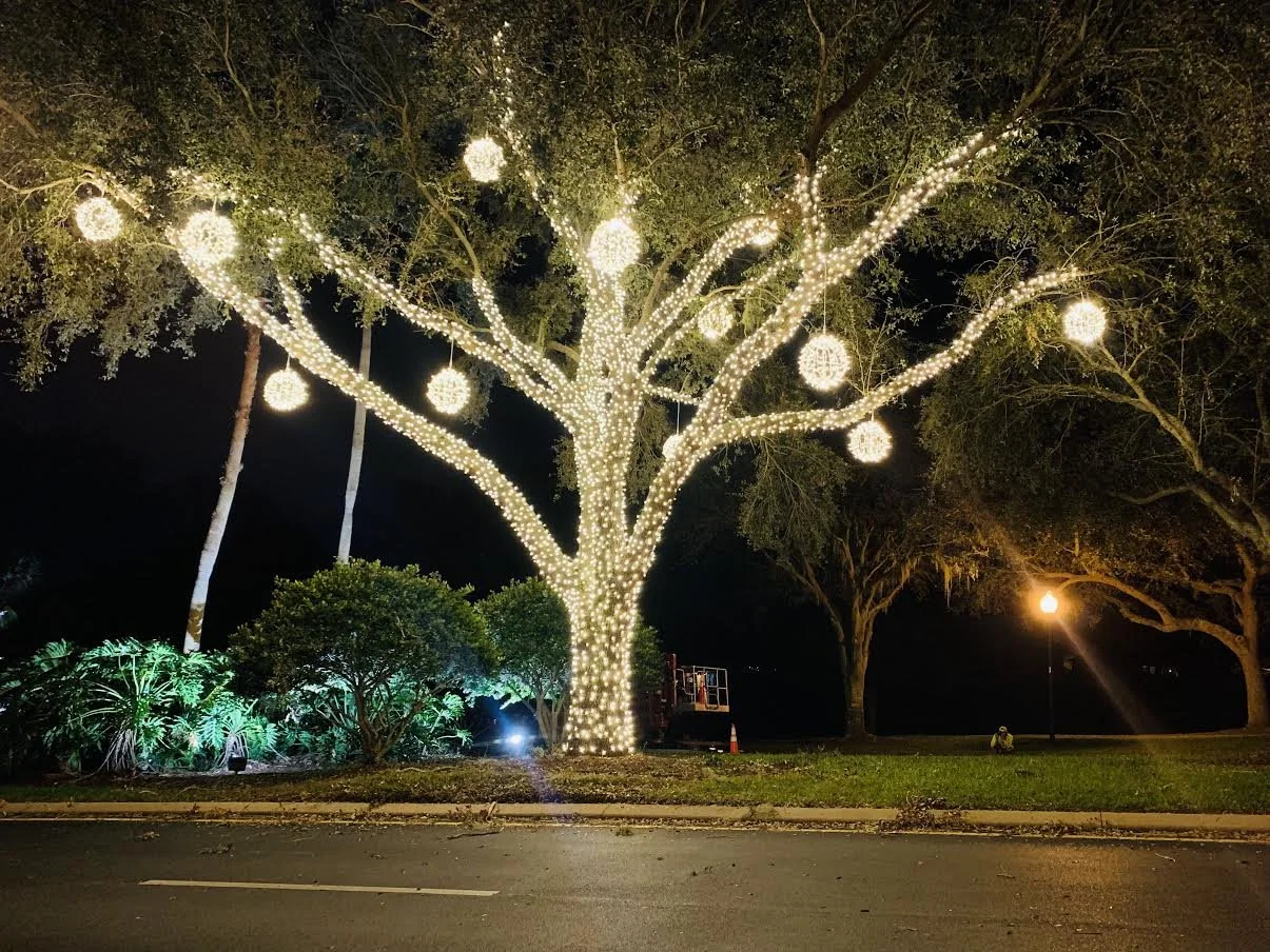 Christmas tree branch wrapped with LED lights in Bismarck – professional holiday lighting installation