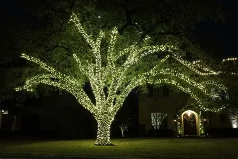 A large tree decorated in Lincoln, ND with numerous string lights at night in a residential area.