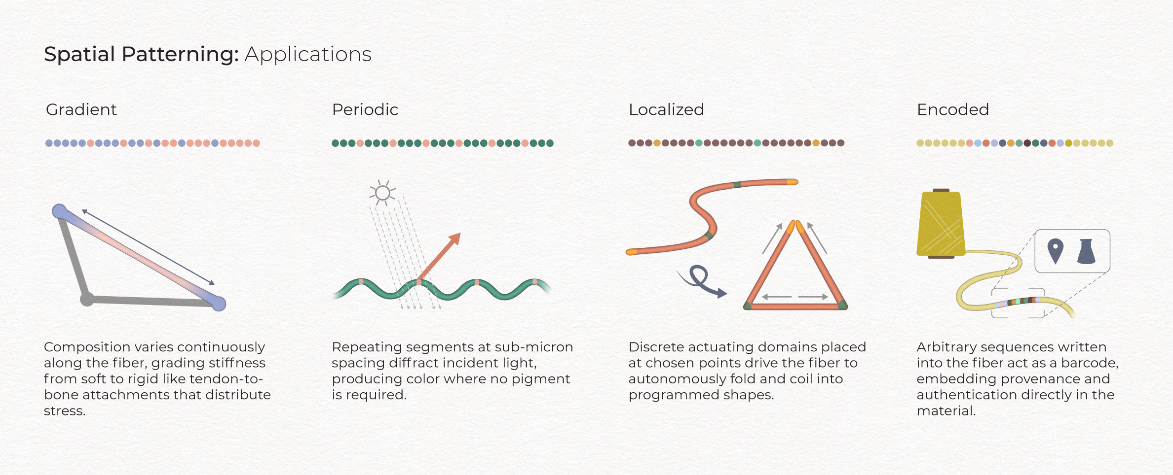 Spectrum Applications_Web_Tex.png
