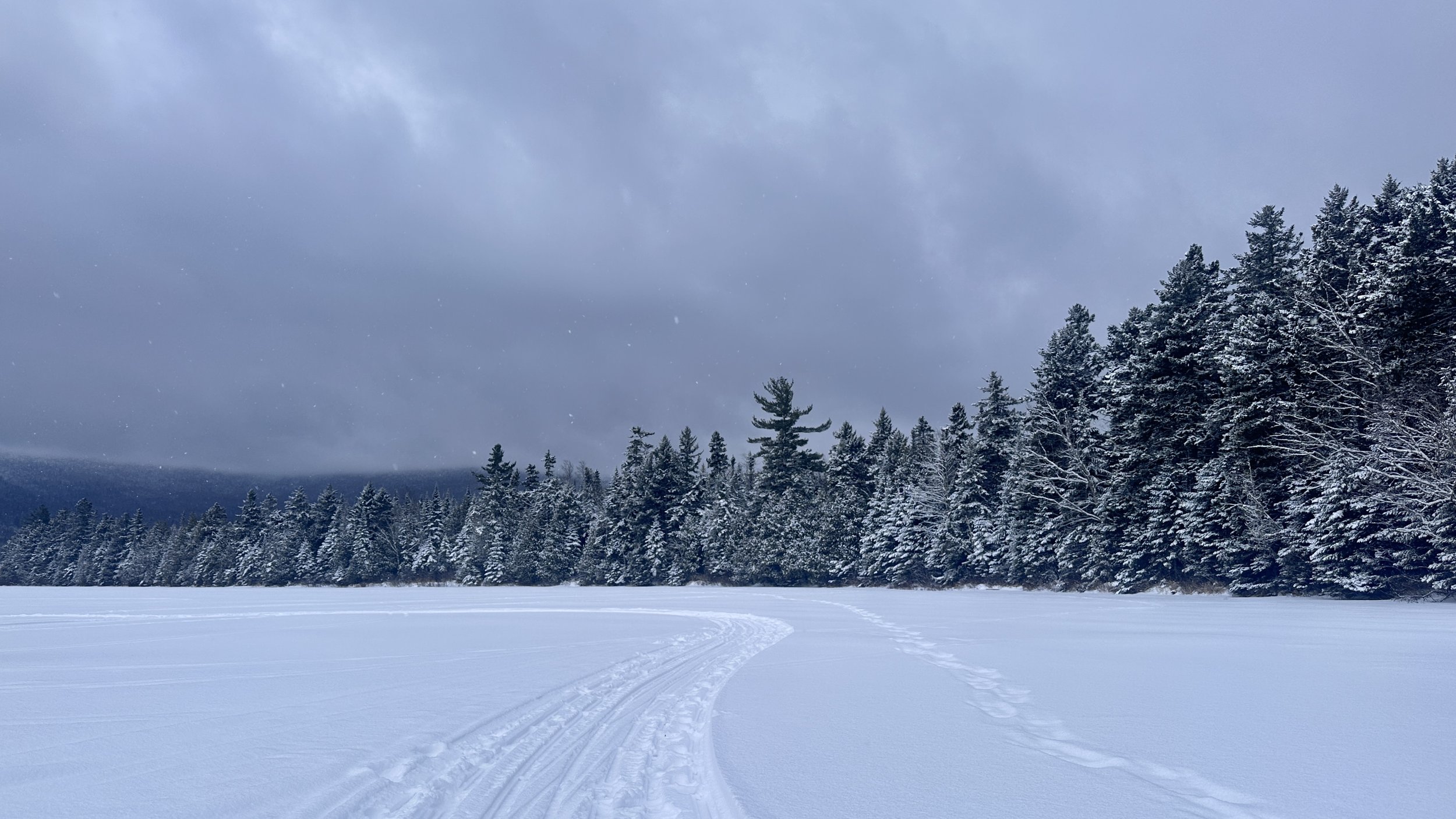 Ski trail on pond in winter with pine trees and gray sky