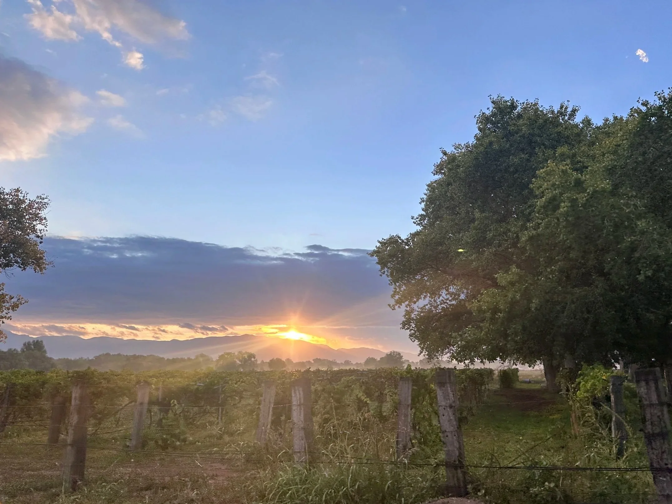Sunrise over mountain range, New Mexico