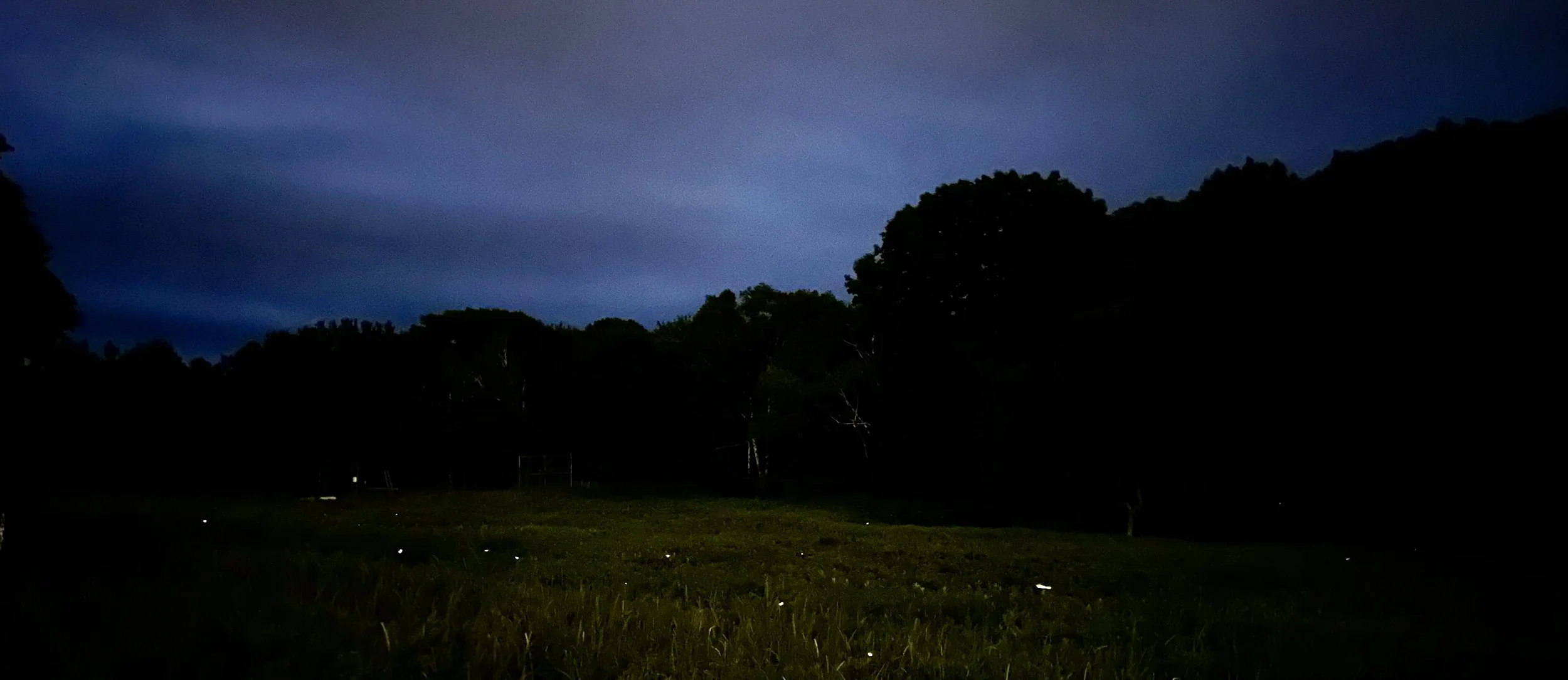 Early night sky over field on Cushing Island, MEwith fireflies