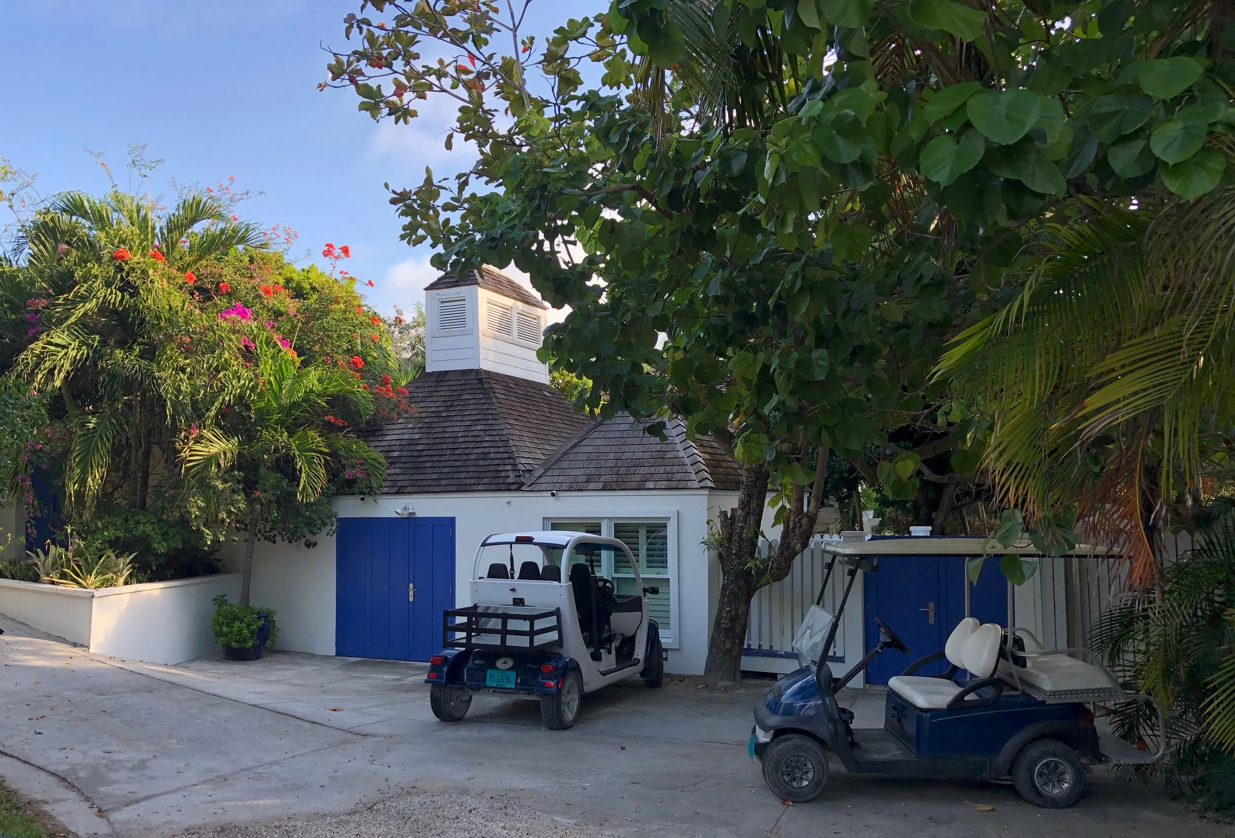 Parking Alligator.jpeg