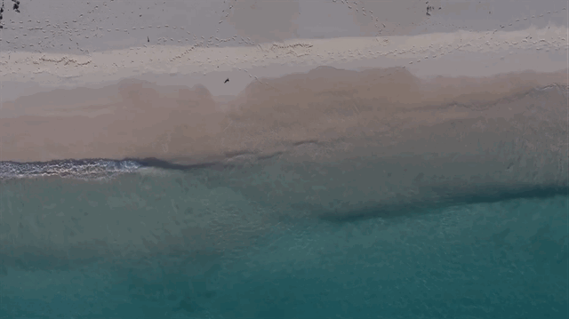 Beach waves loop drone.gif