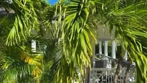 Panorama from the Deck