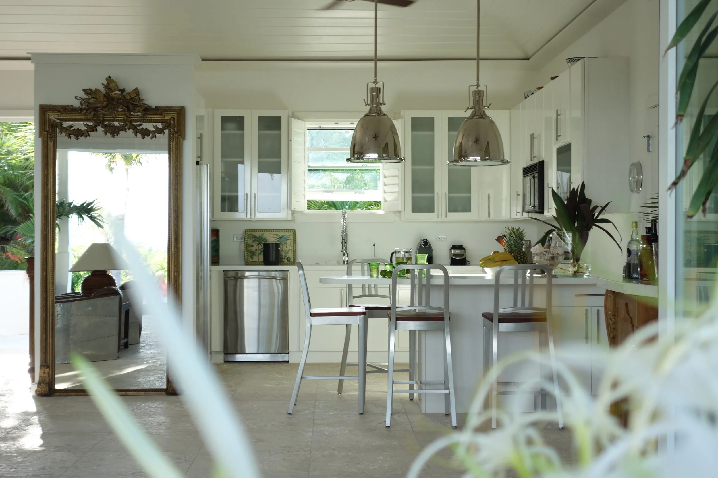 Kitchen with spider lillies in foreground.jpg