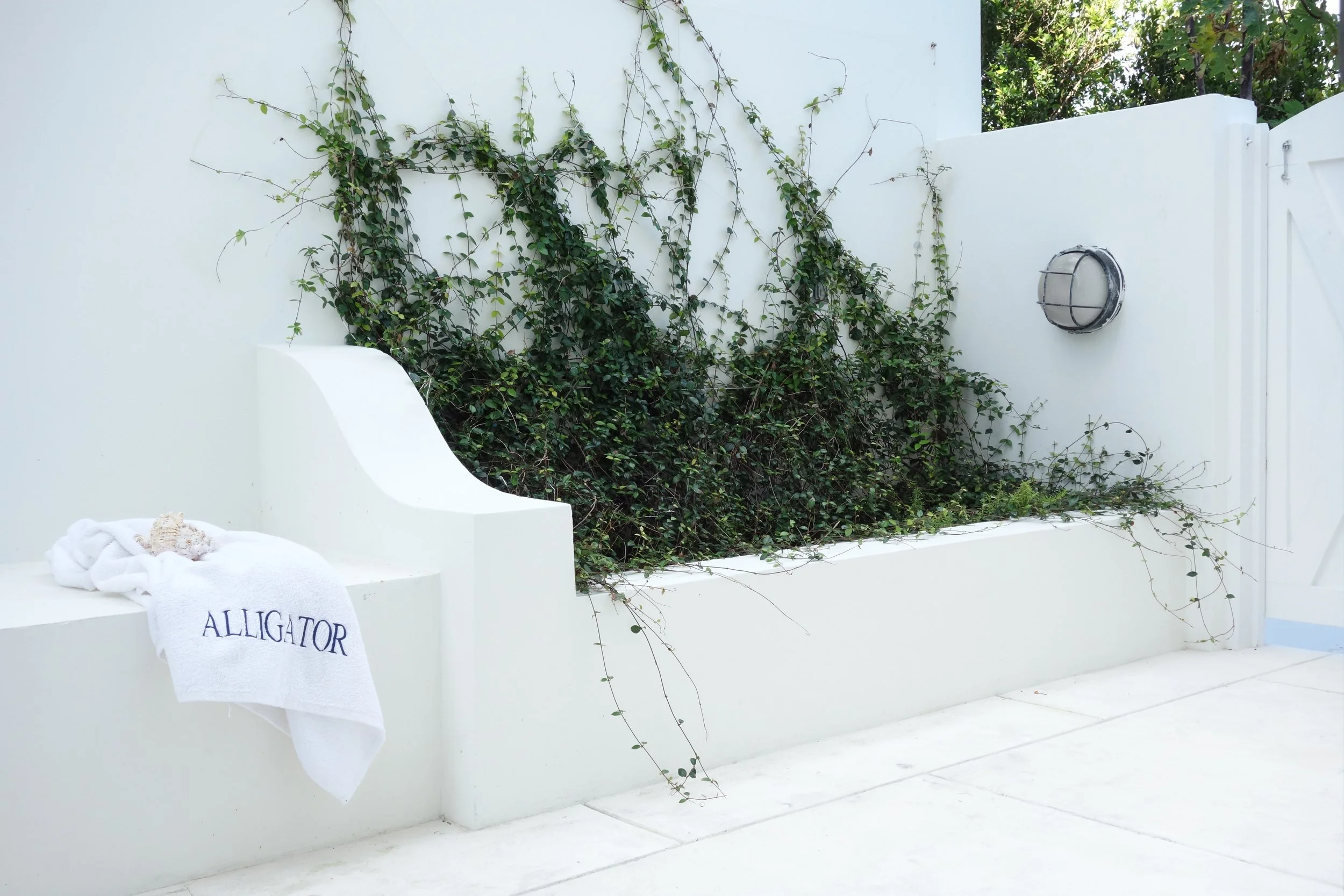 Outdoor shower area with towel.jpg