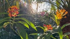 Lower Southern Bedroom