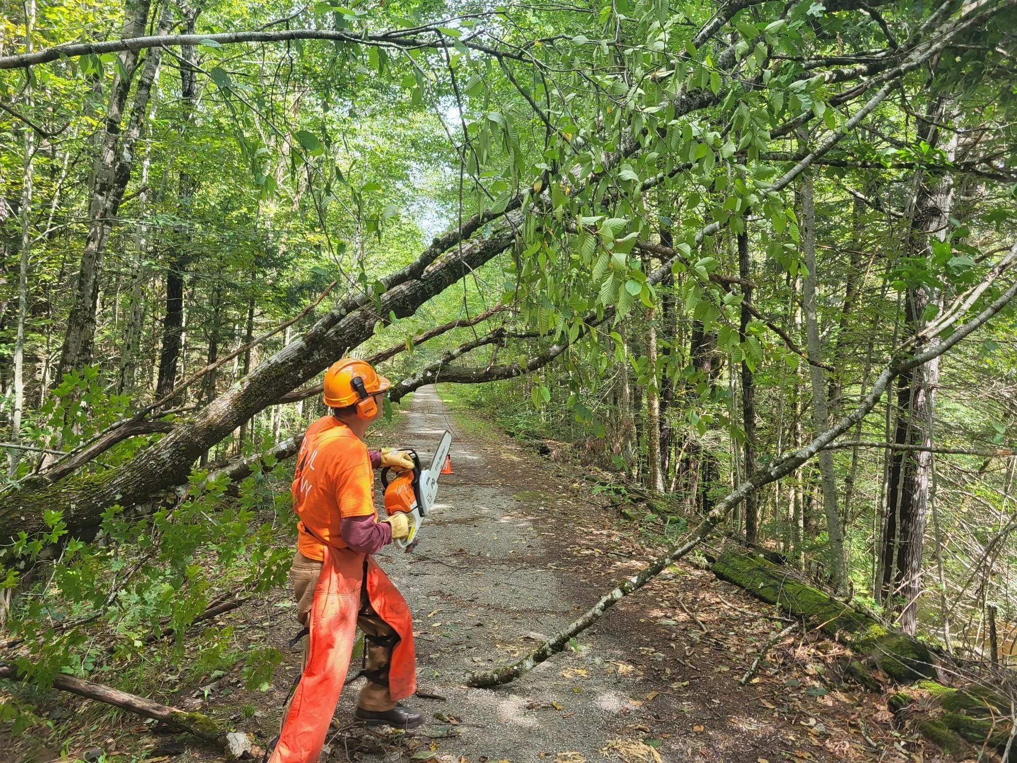 Maintenance team volunteer Joe Olimpio clearing the Trail.jpg