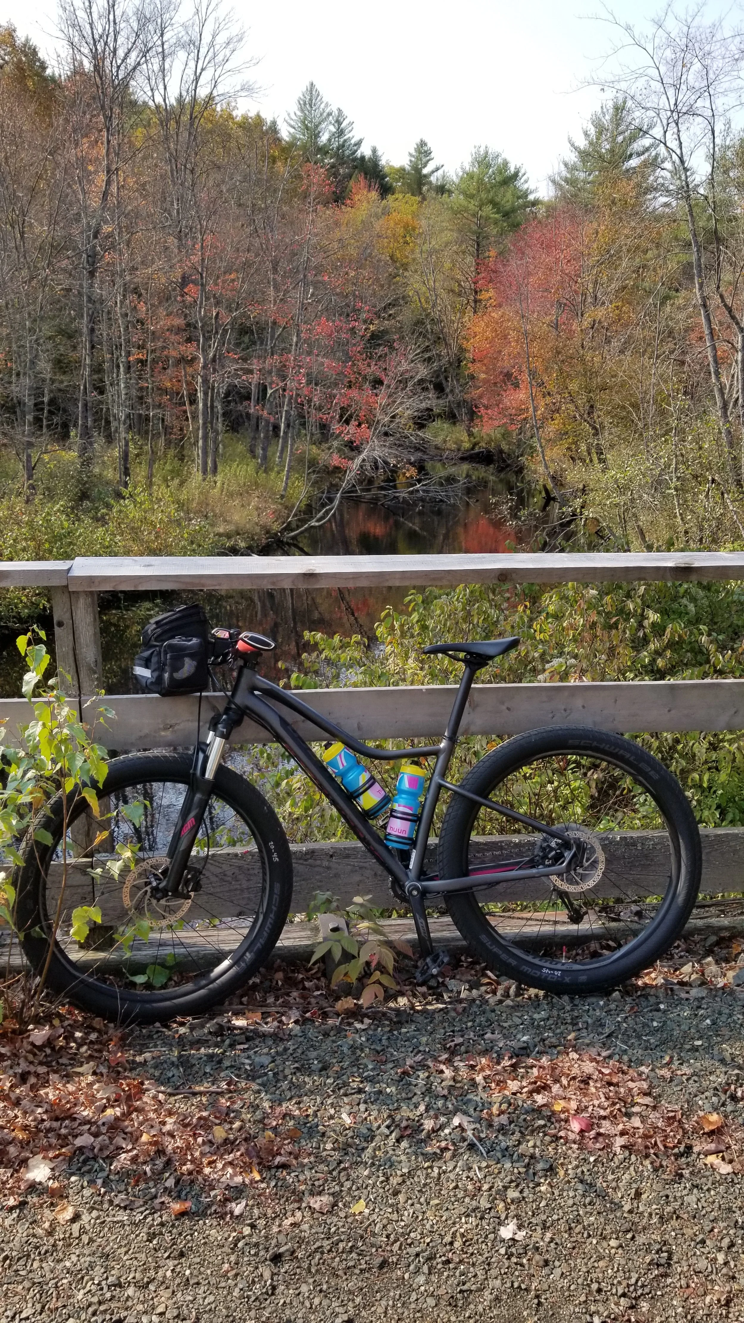 DANBURY - WILMOT