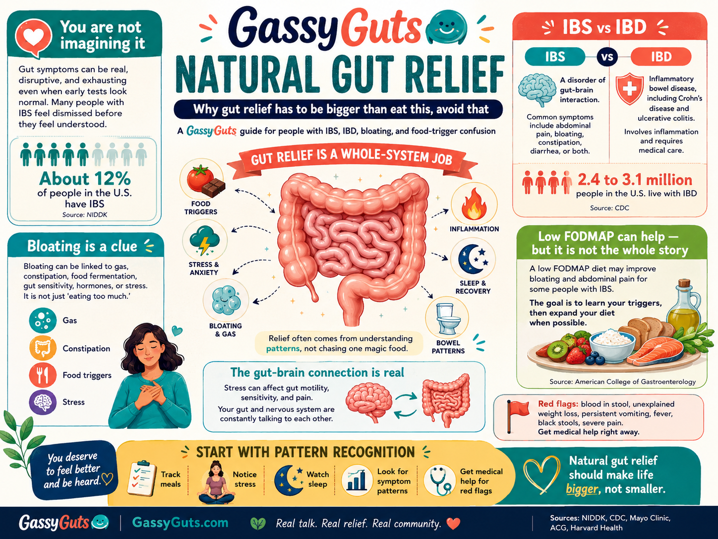 Natural Gut Relief for IBS, IBD, and Bloating: The GassyGuts Guide
