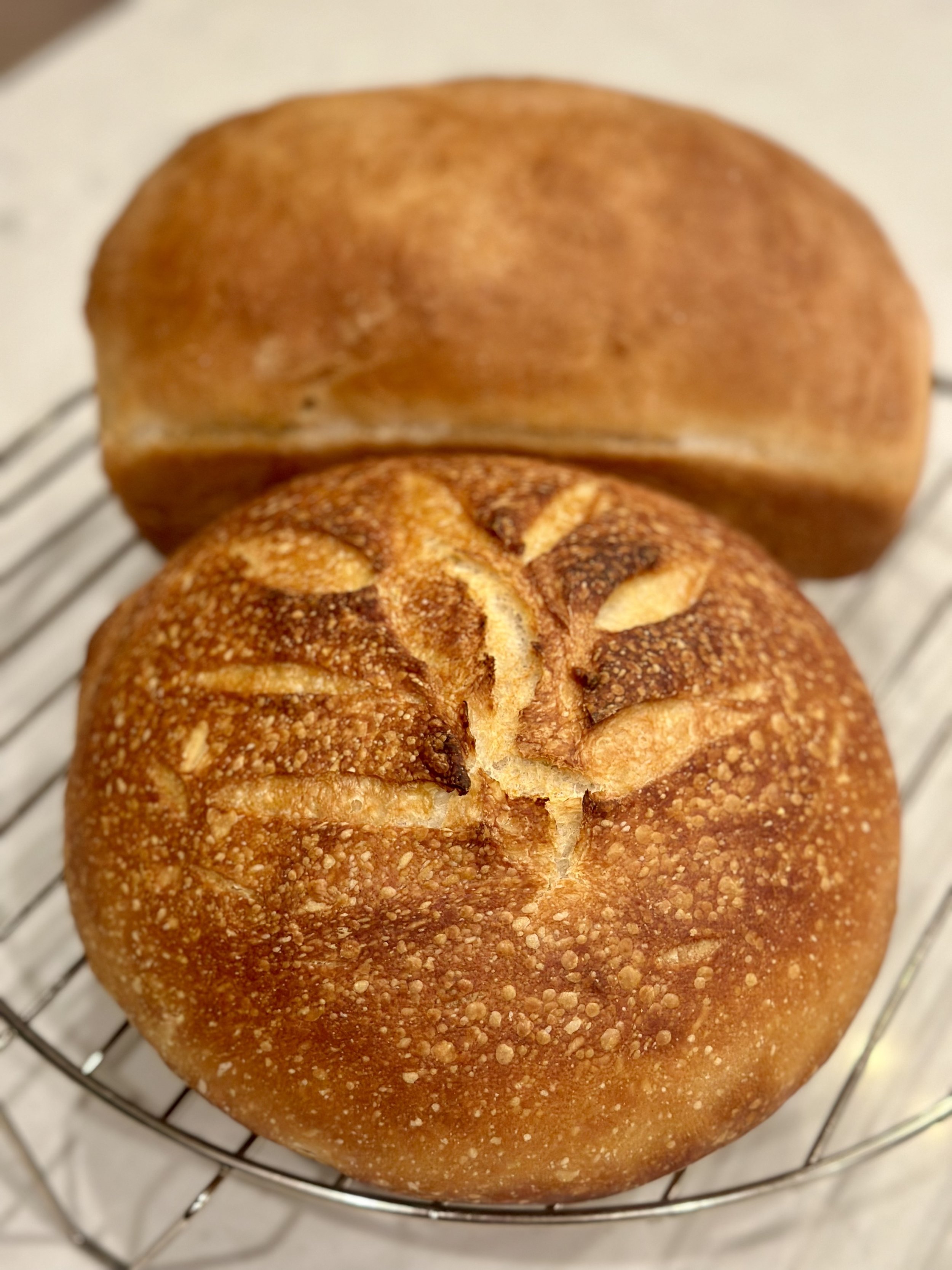 Homemade Organic Sourdough Bread